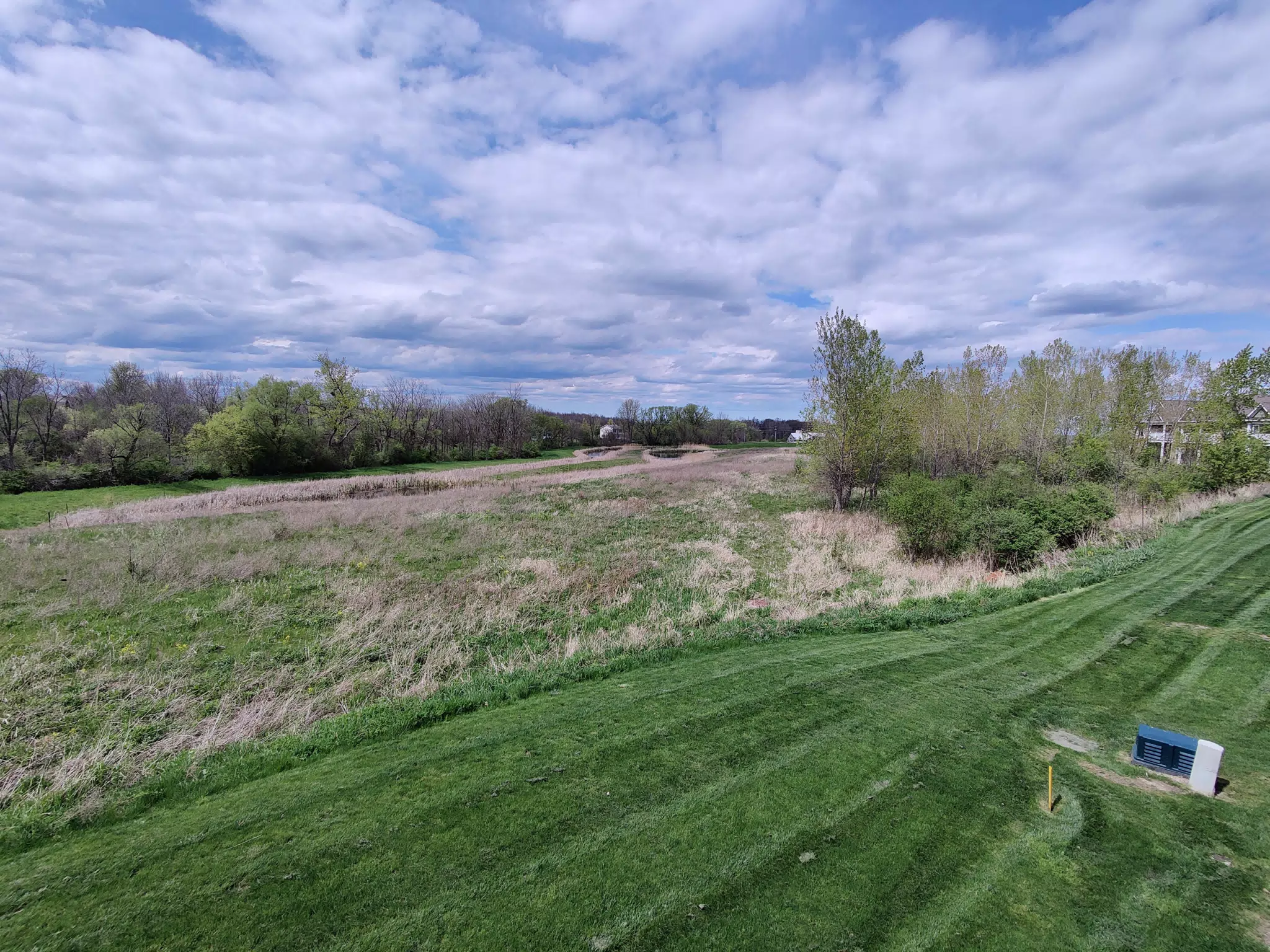 Dad's New Backyard