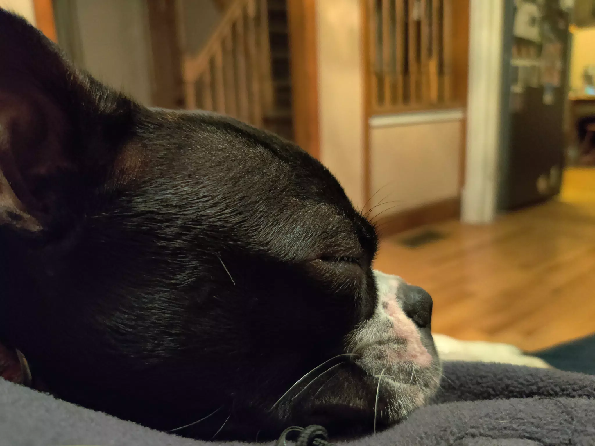 Sleeping Clive