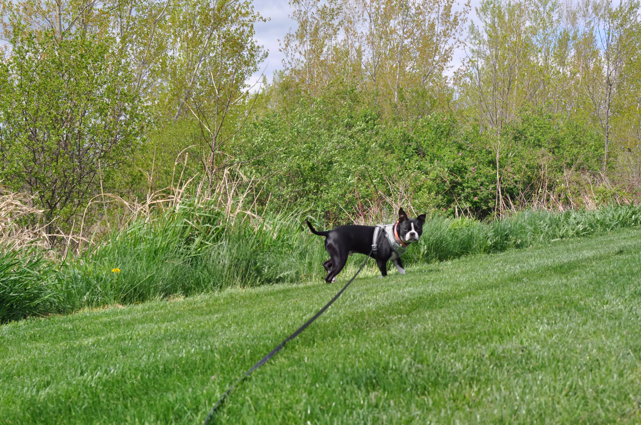 DSC_0888
