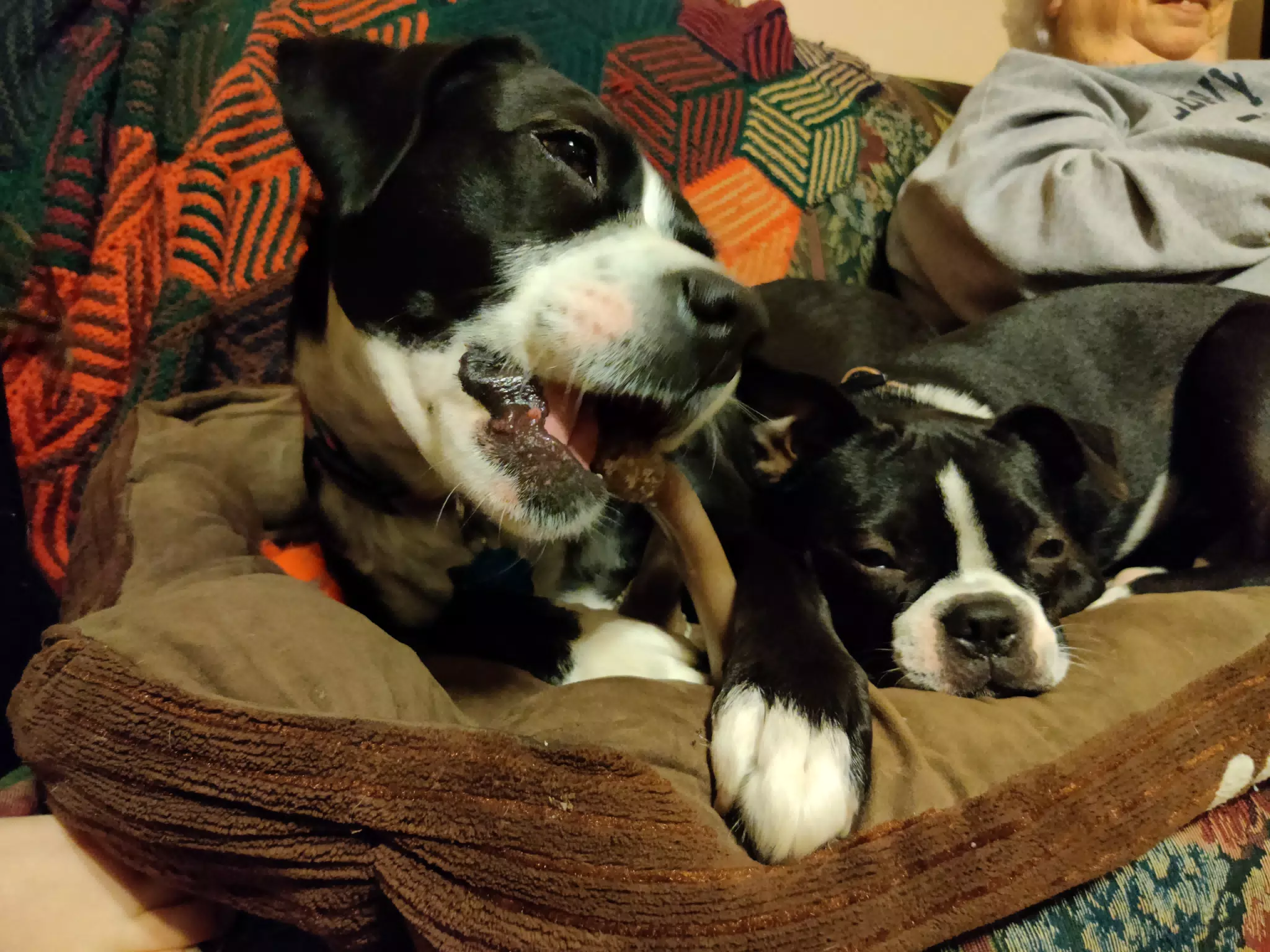 Mia and Clive Playing