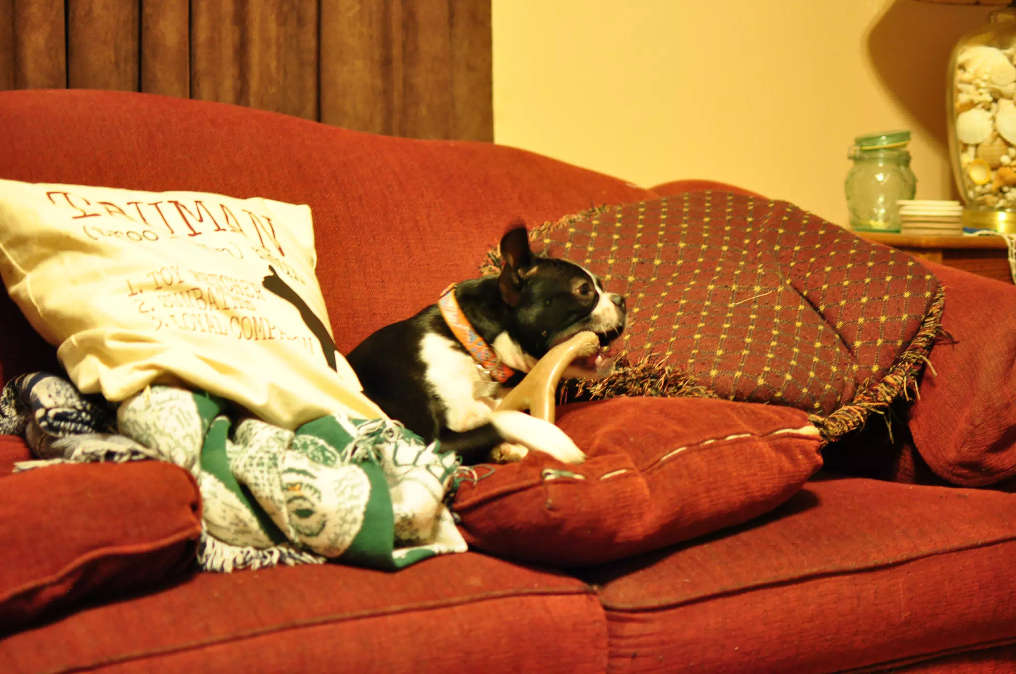 Hanging Out in the Living Room
