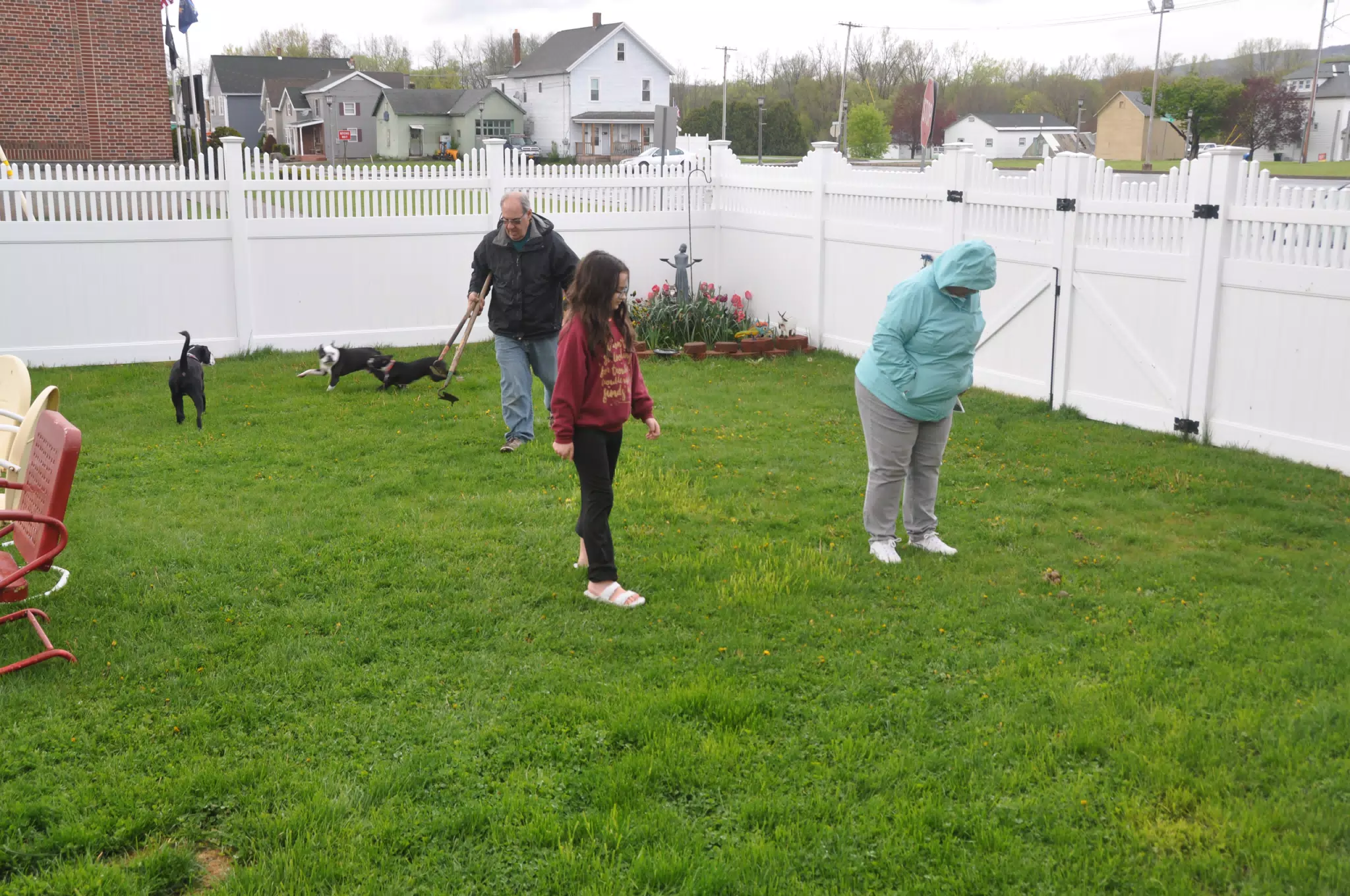 Planting Flowers with the Dogs