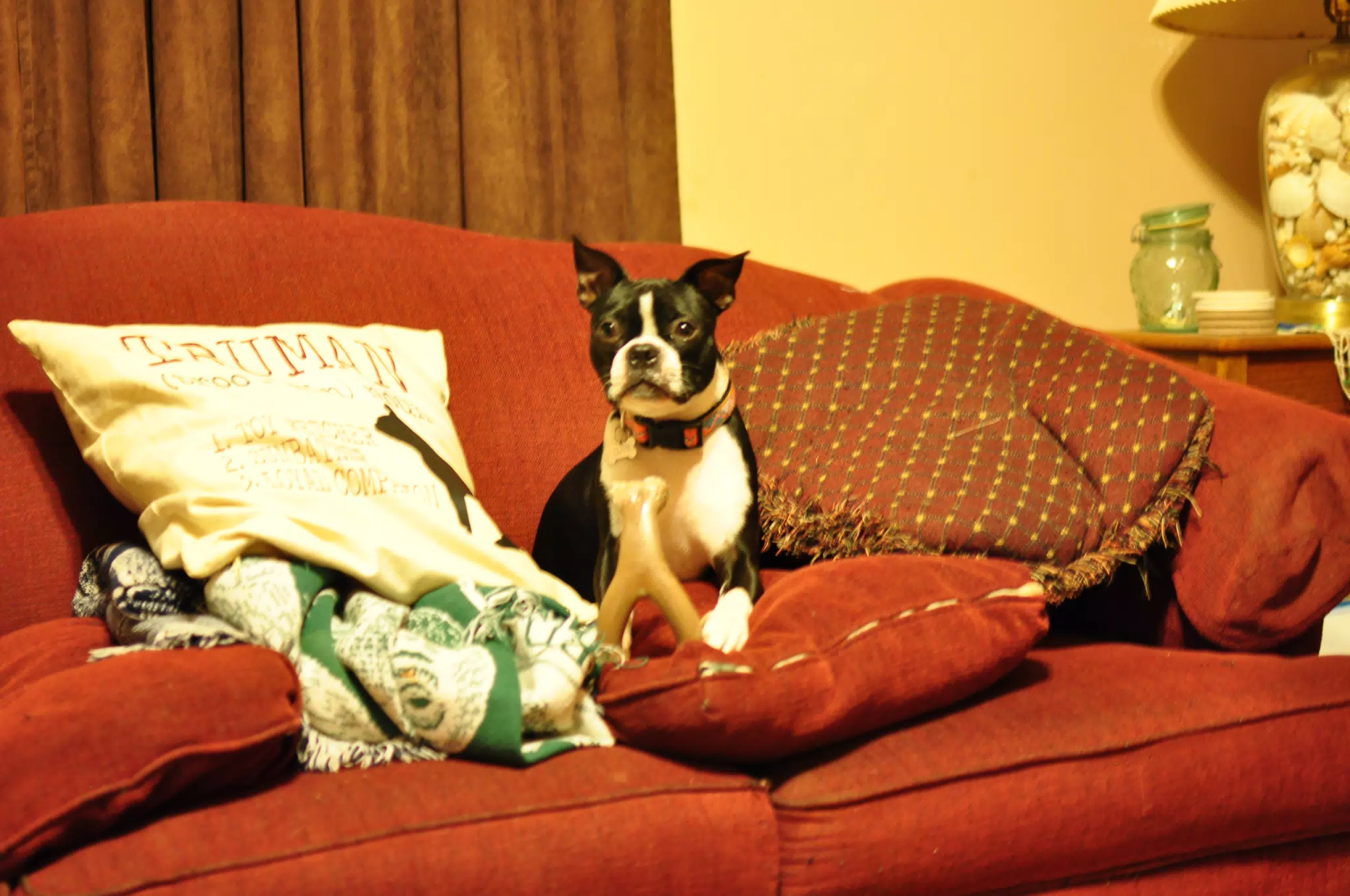 Hanging Out in the Living Room