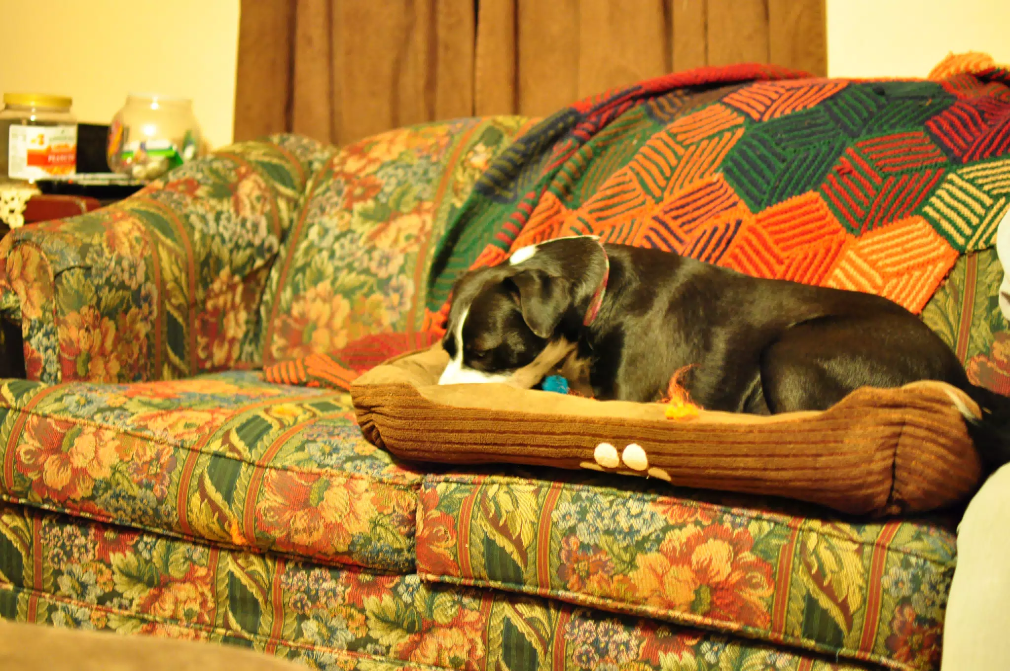 Hanging Out in the Living Room