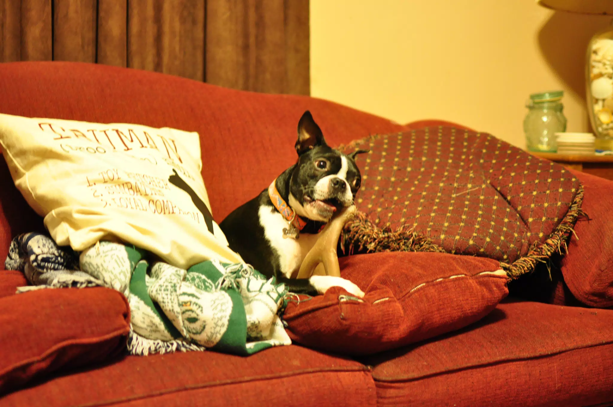 Hanging Out in the Living Room