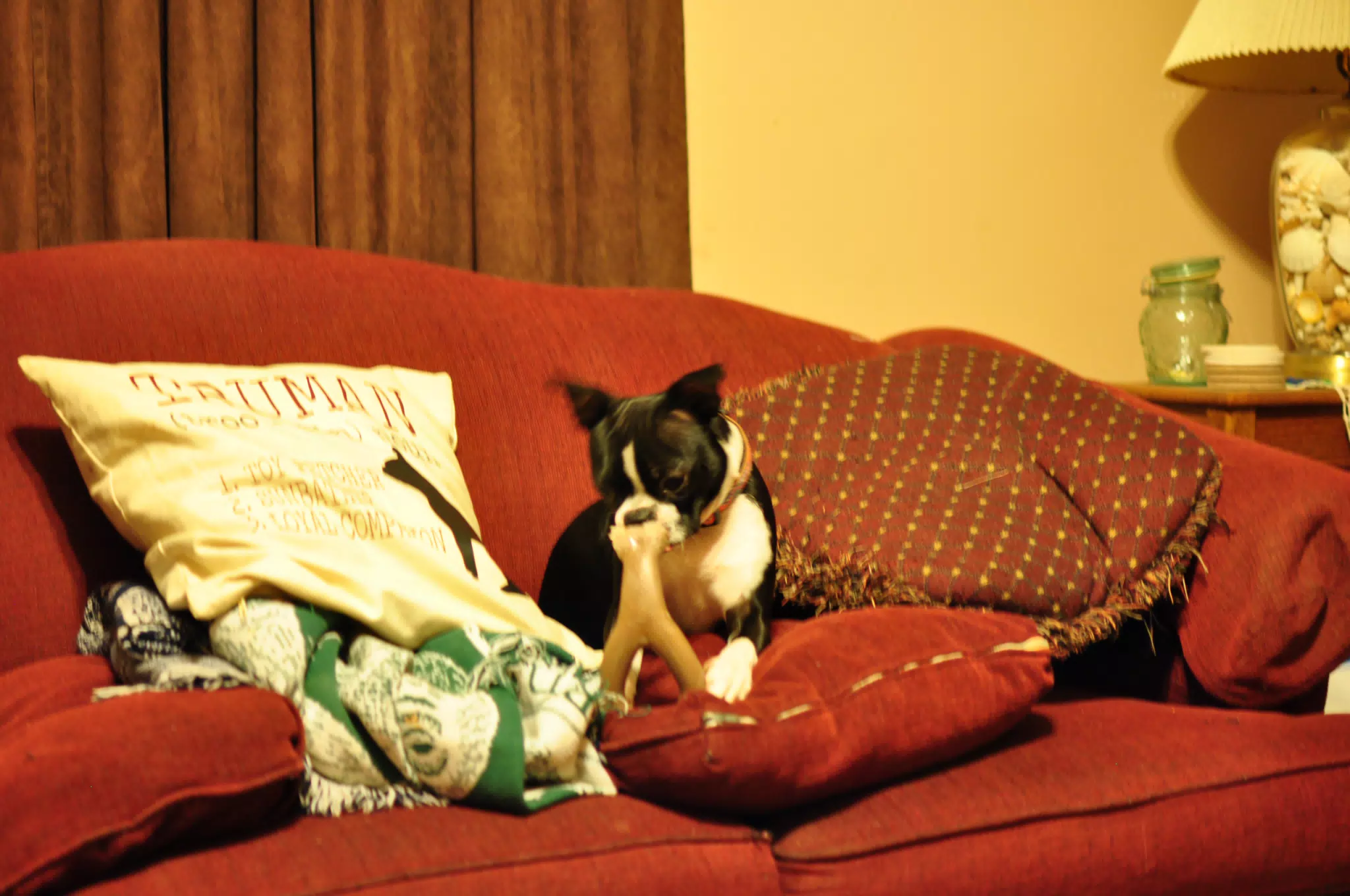 Hanging Out in the Living Room