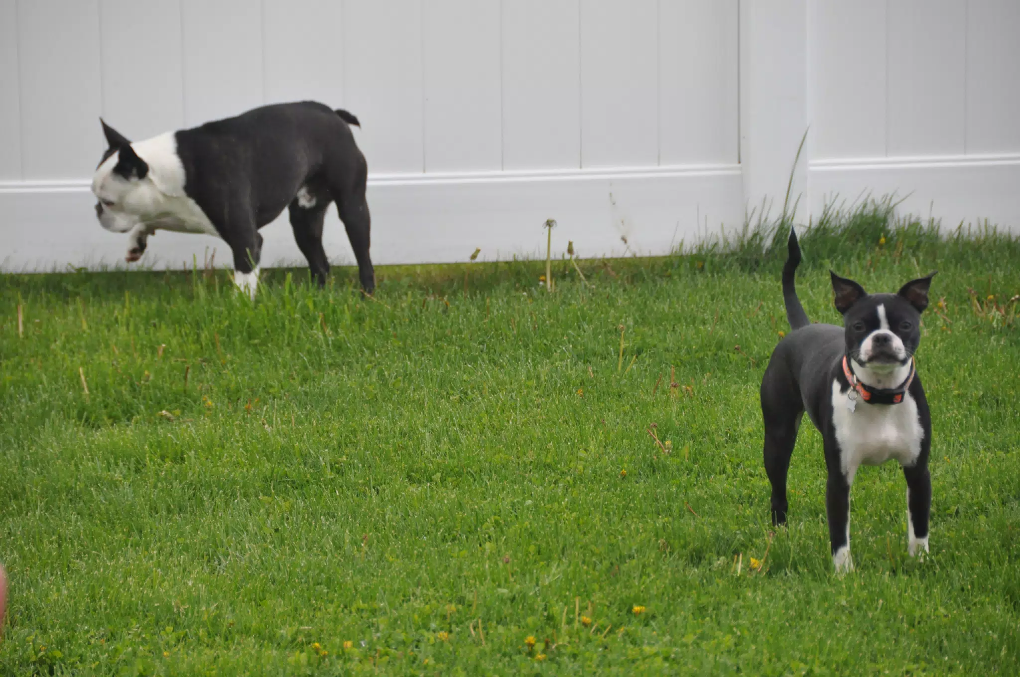 Truman and Clive