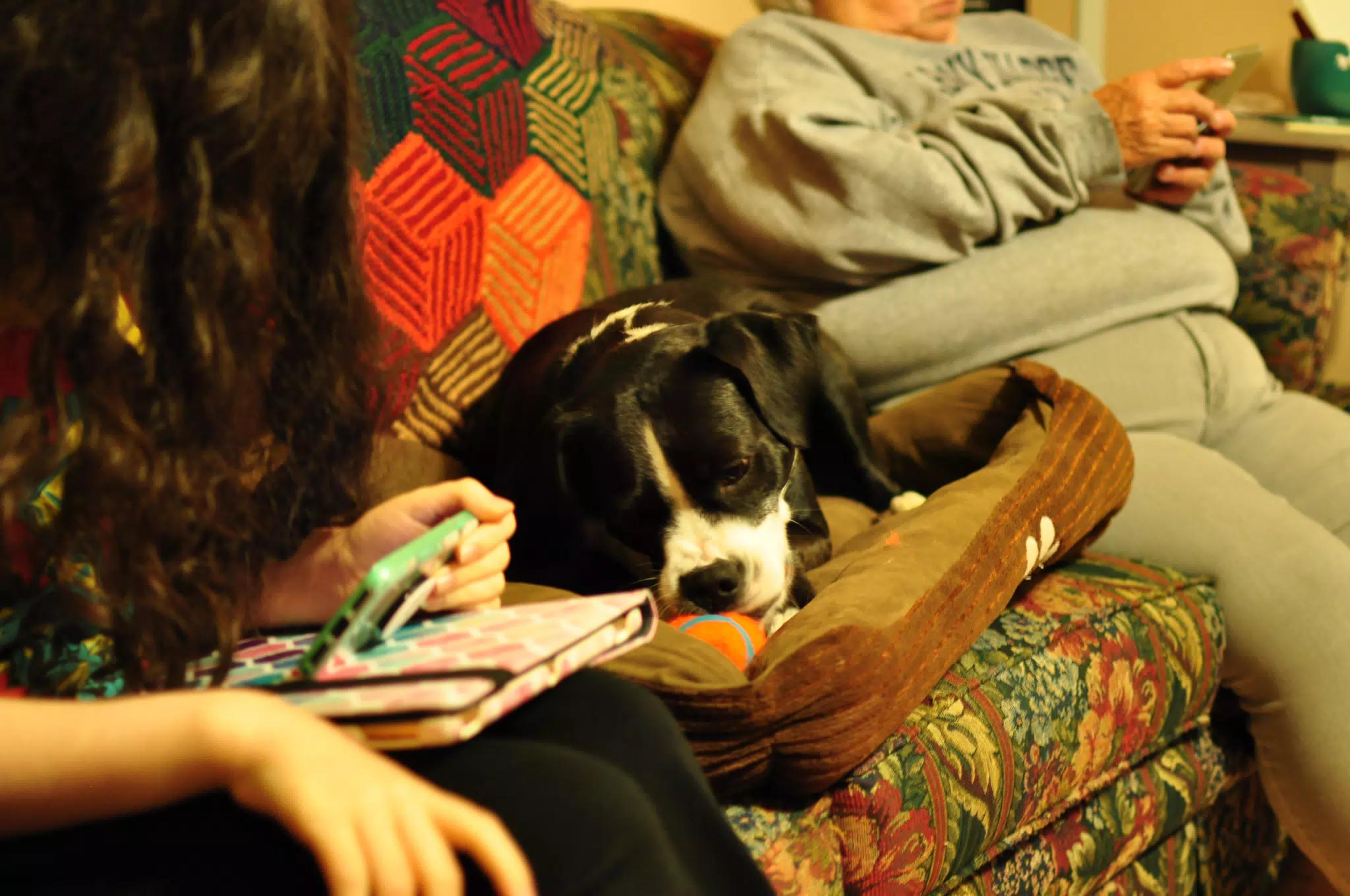 Hanging Out in the Living Room