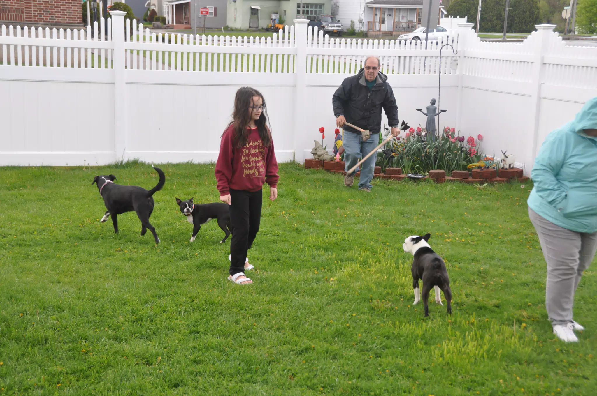 Planting Flowers with the Dogs
