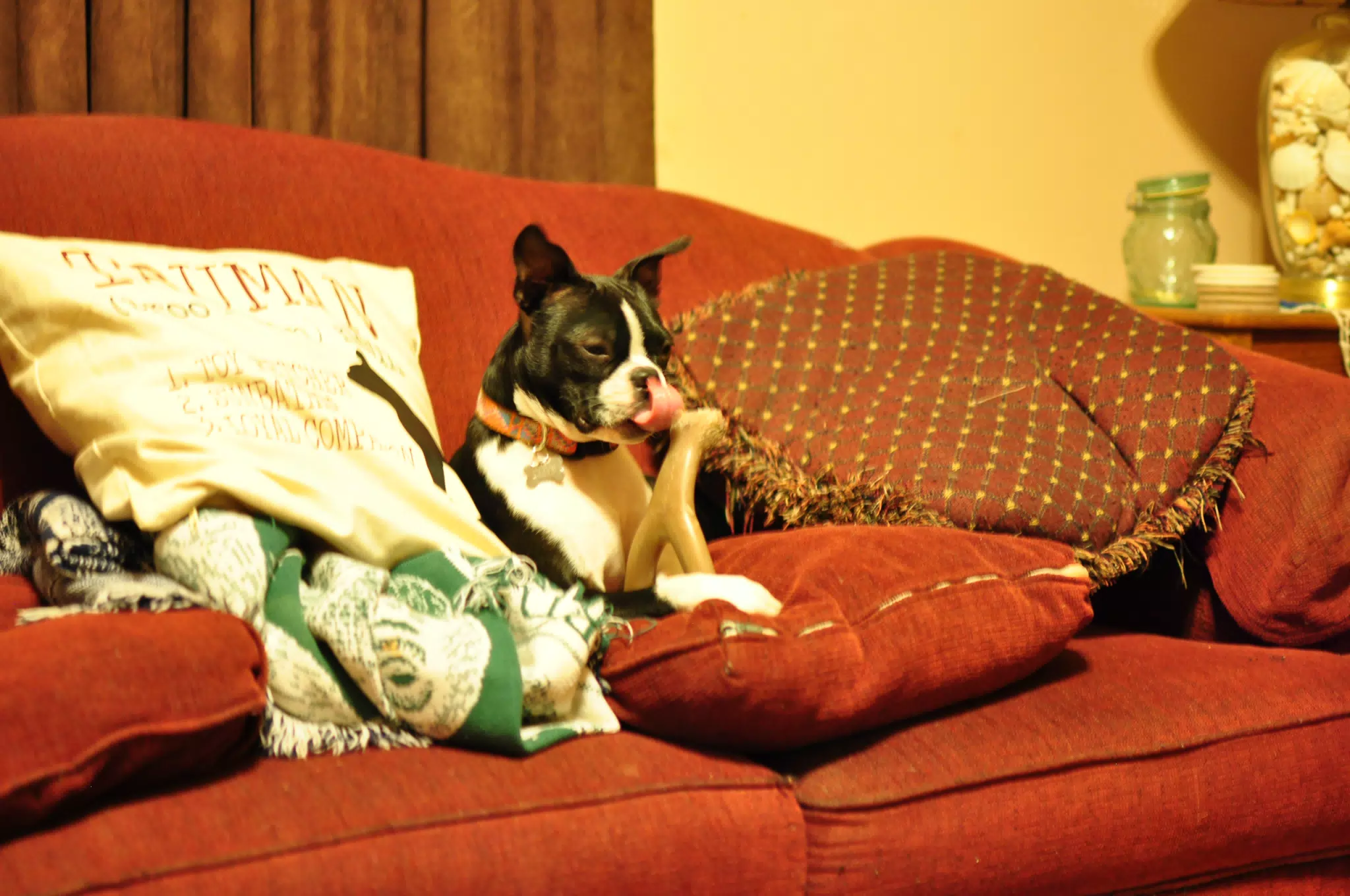 Hanging Out in the Living Room