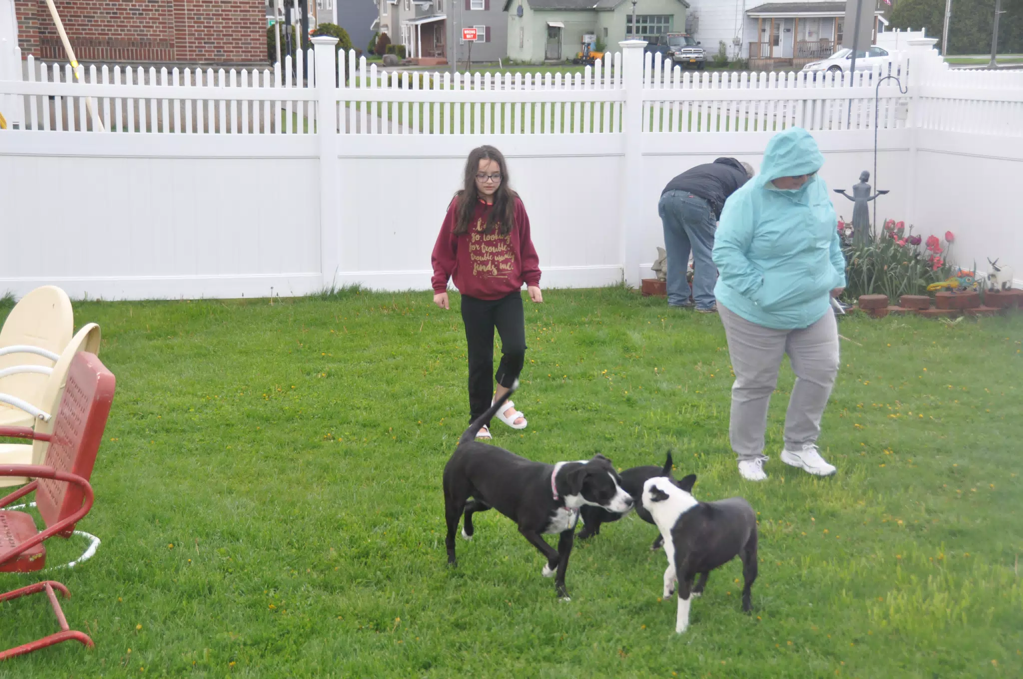 Planting Flowers with the Dogs