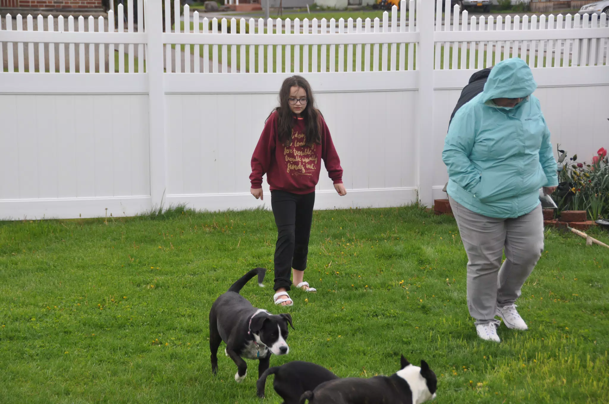 Planting Flowers with the Dogs