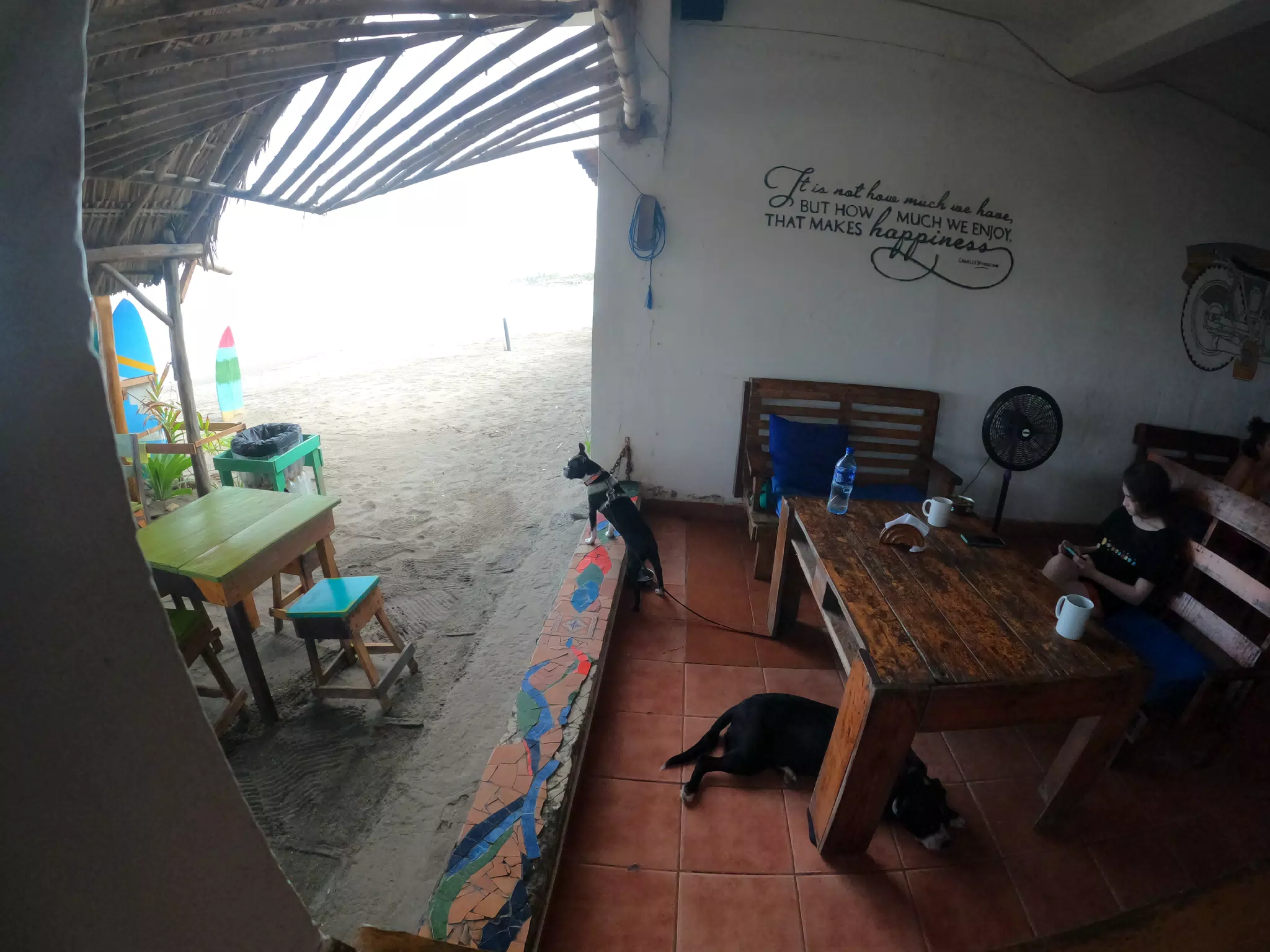 Las Penitas from The Simple Beach Lodge