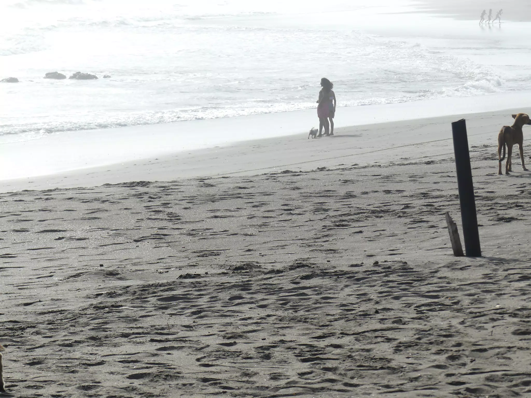 Life in Las Penitas