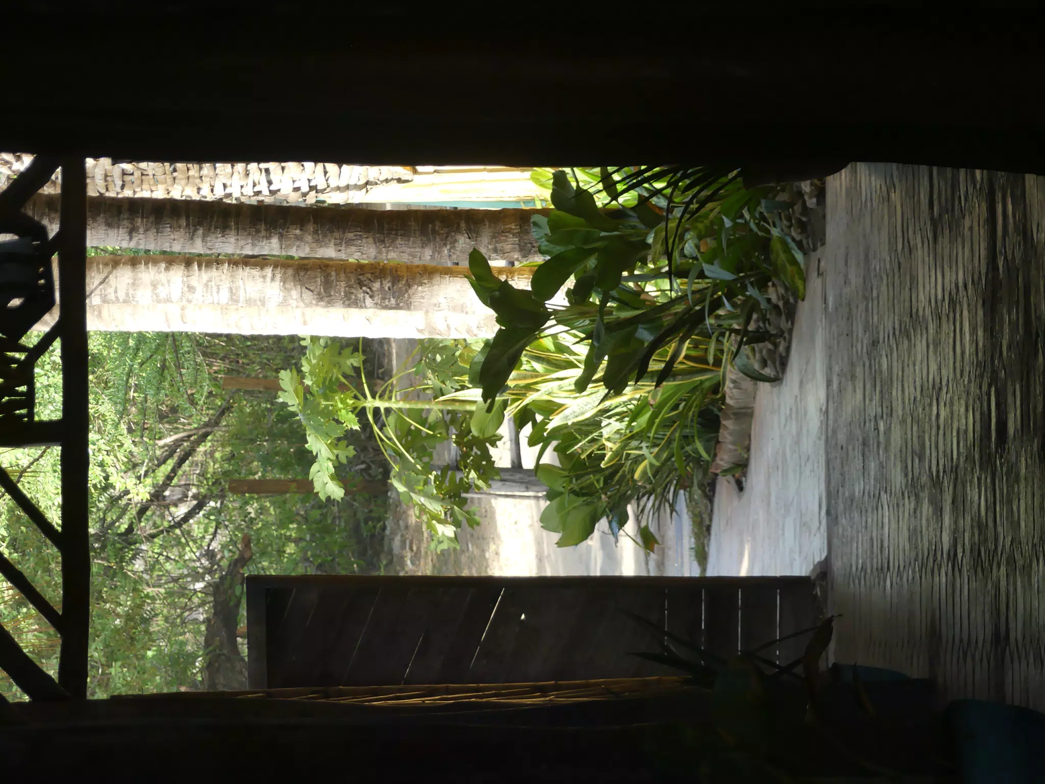 Life in Las Penitas