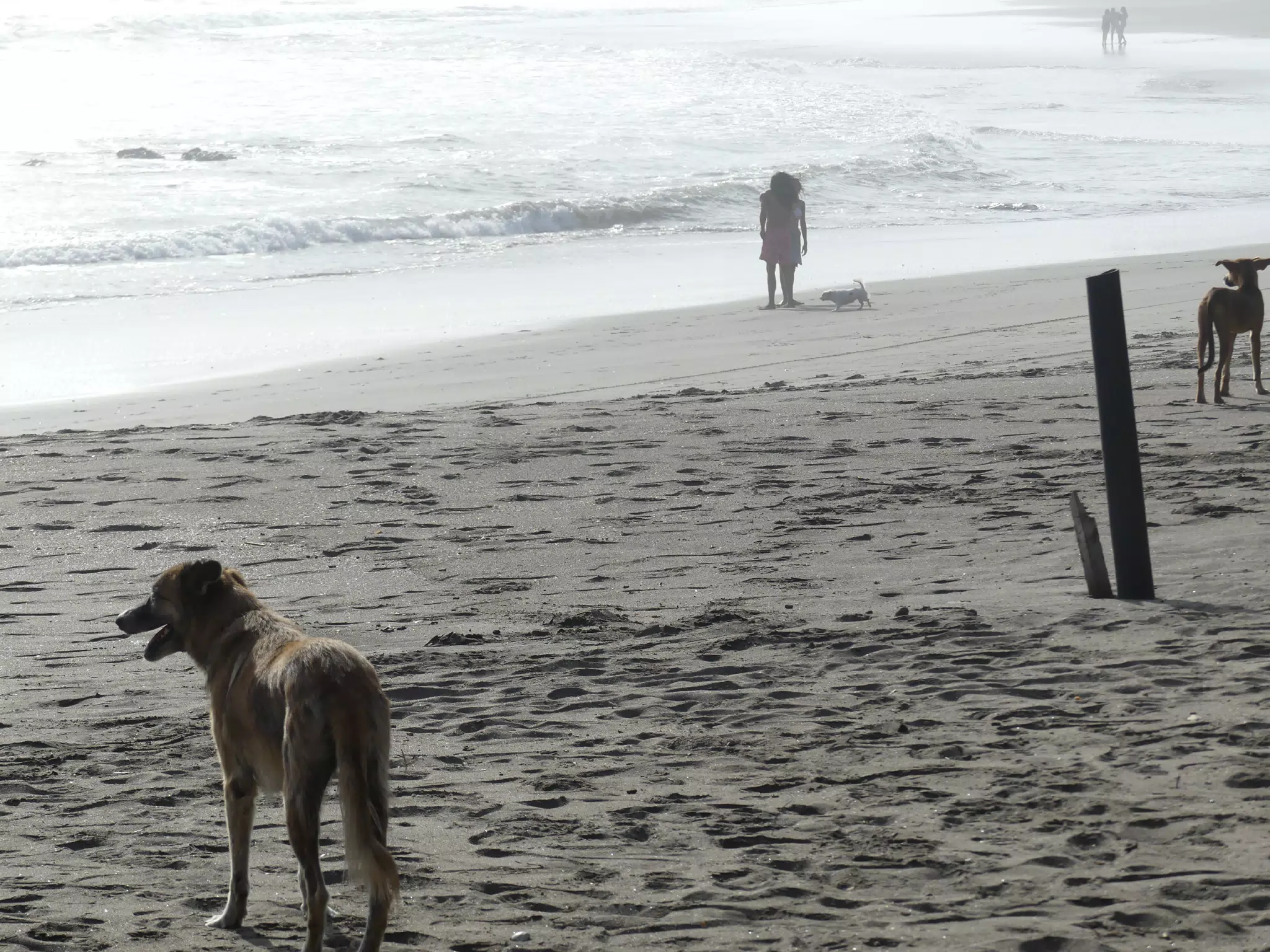 Life in Las Penitas
