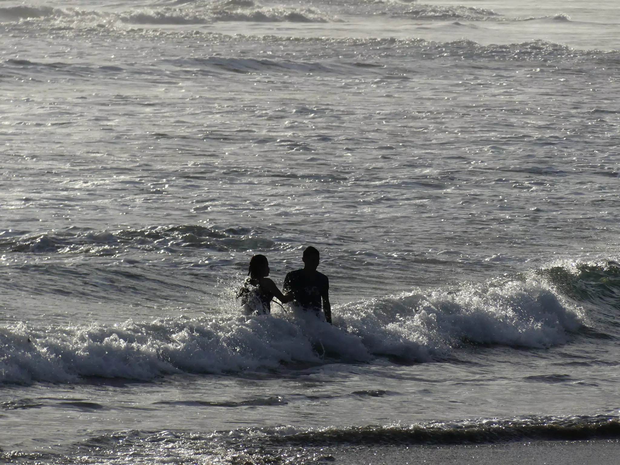 Life Near the Rocks Around Sunset, Las Penitas Beach