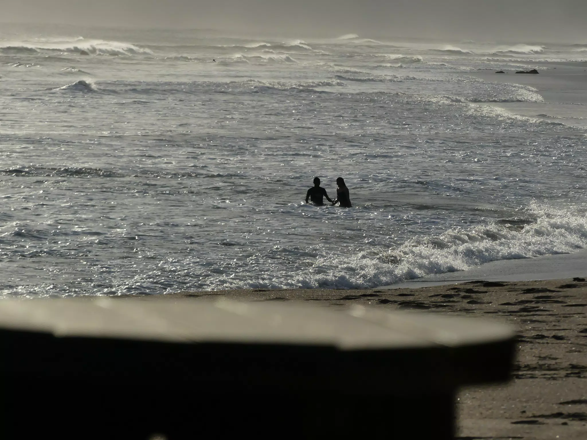 Life Near the Rocks Around Sunset, Las Penitas Beach