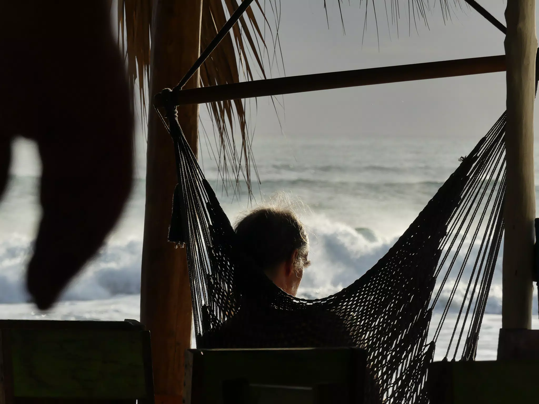 Life Near the Rocks Around Sunset, Las Penitas Beach