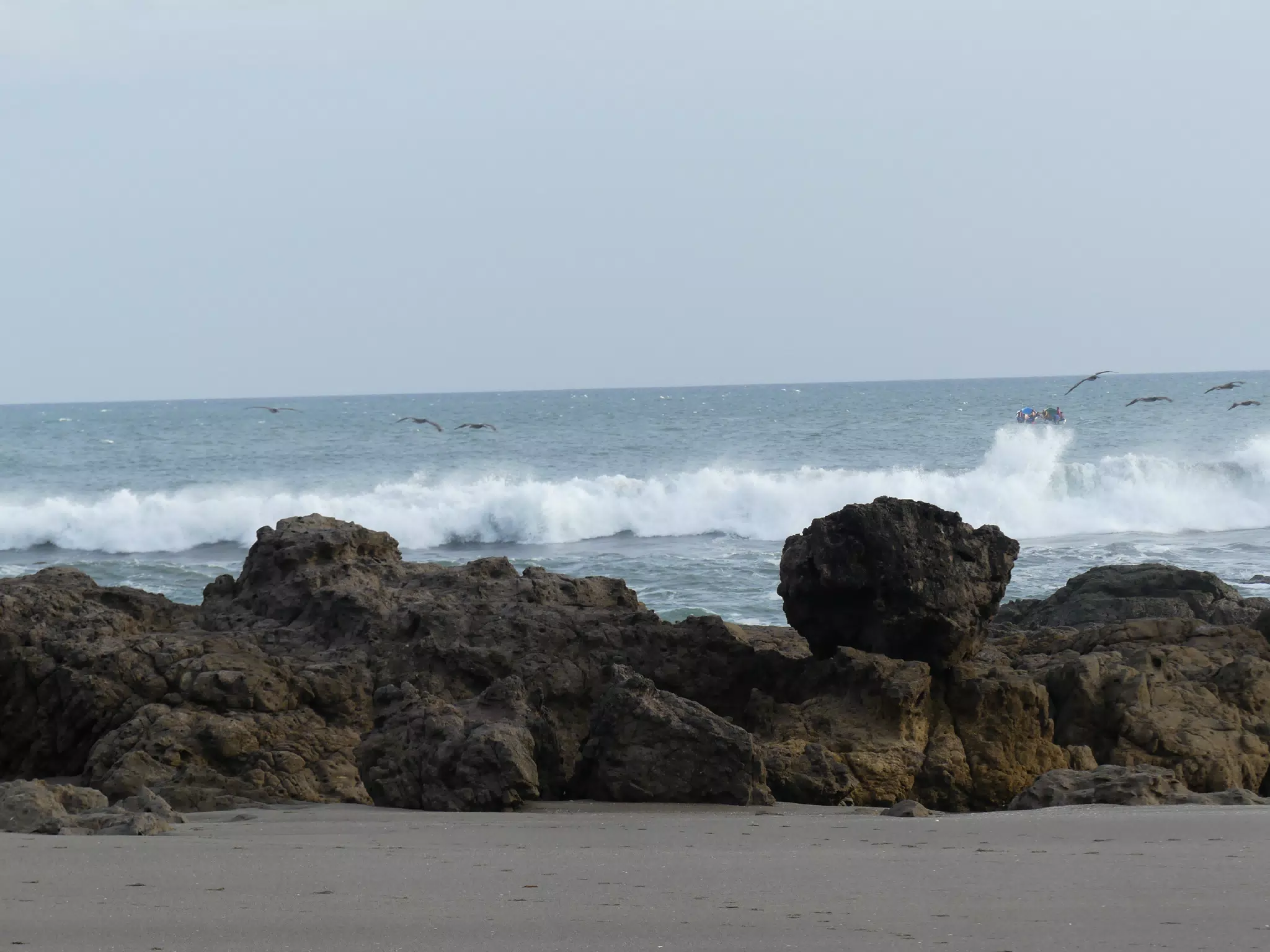 Life Near the Rocks Around Sunset, Las Penitas Beach