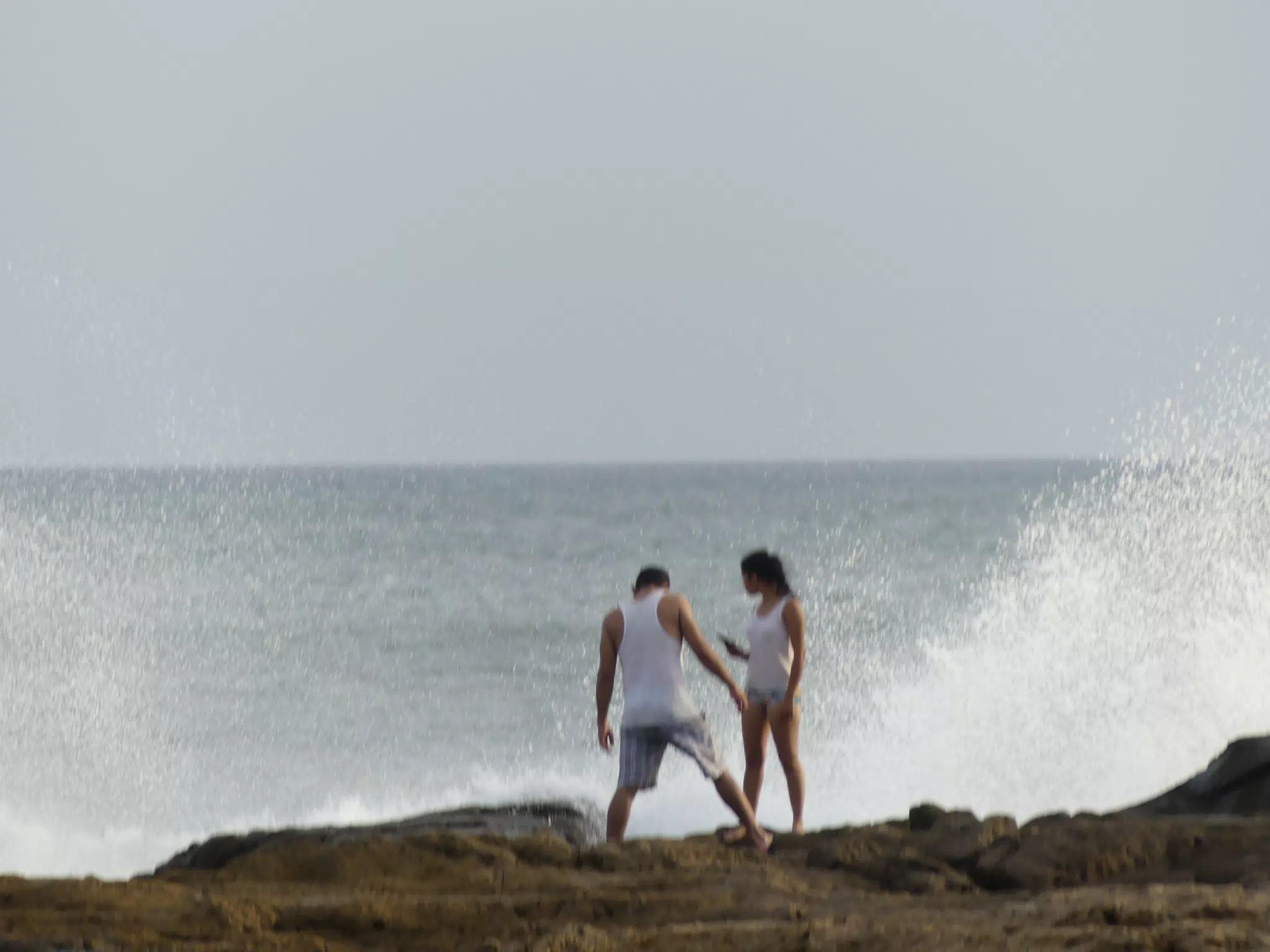 Life Near the Rocks Around Sunset, Las Penitas Beach