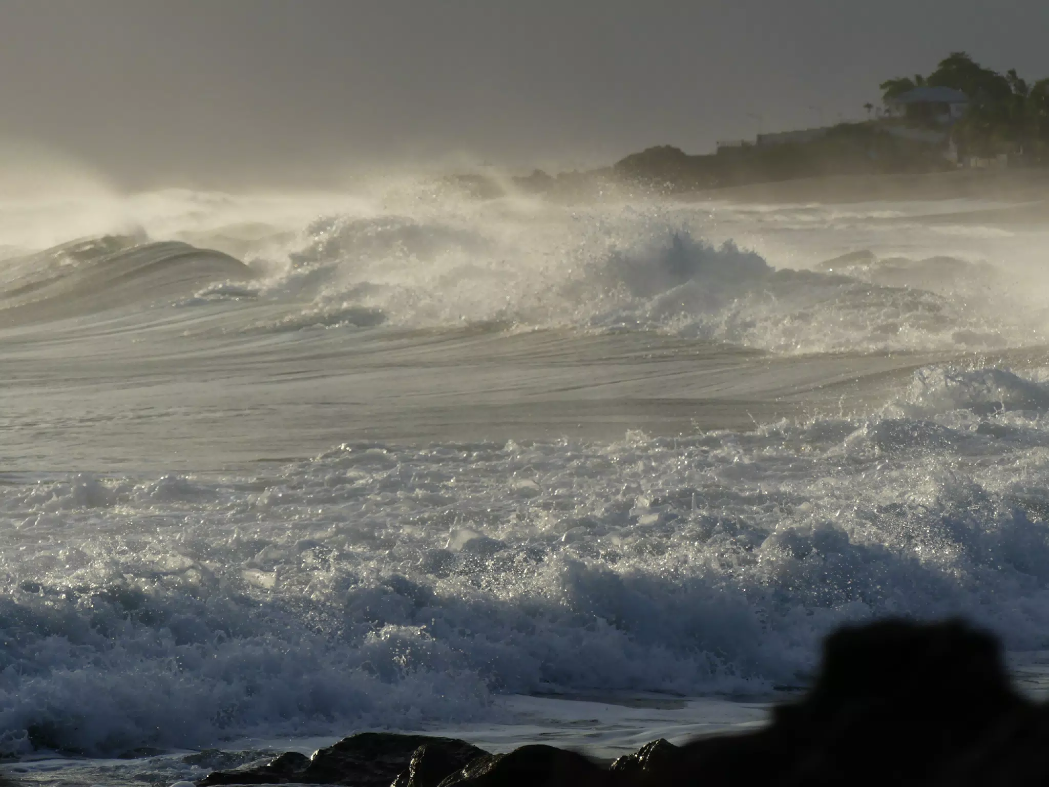 Life Near the Rocks Around Sunset, Las Penitas Beach