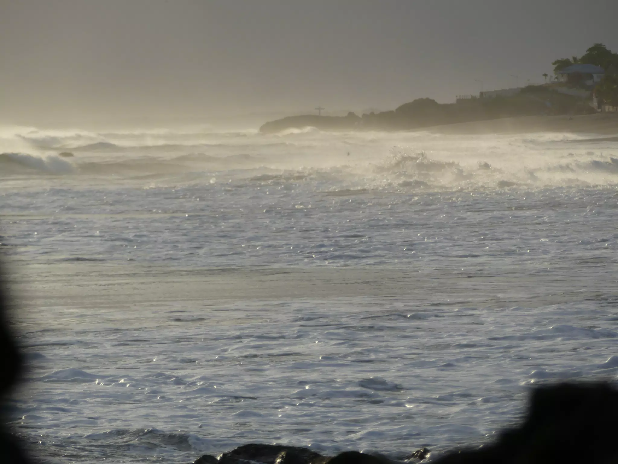 Life Near the Rocks Around Sunset, Las Penitas Beach