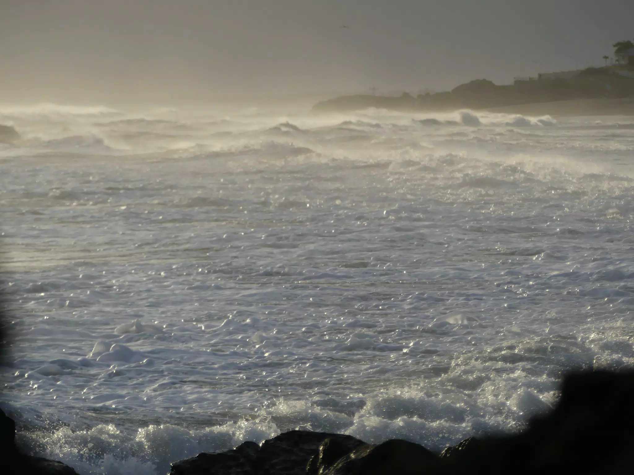Life Near the Rocks Around Sunset, Las Penitas Beach