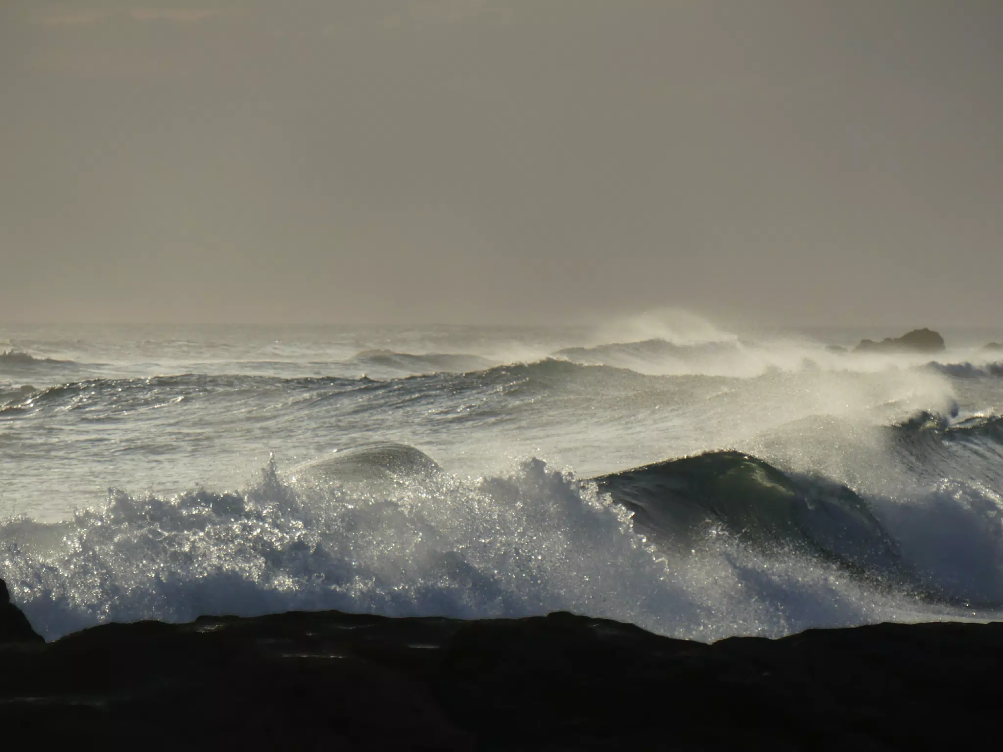 Life Near the Rocks Around Sunset, Las Penitas Beach