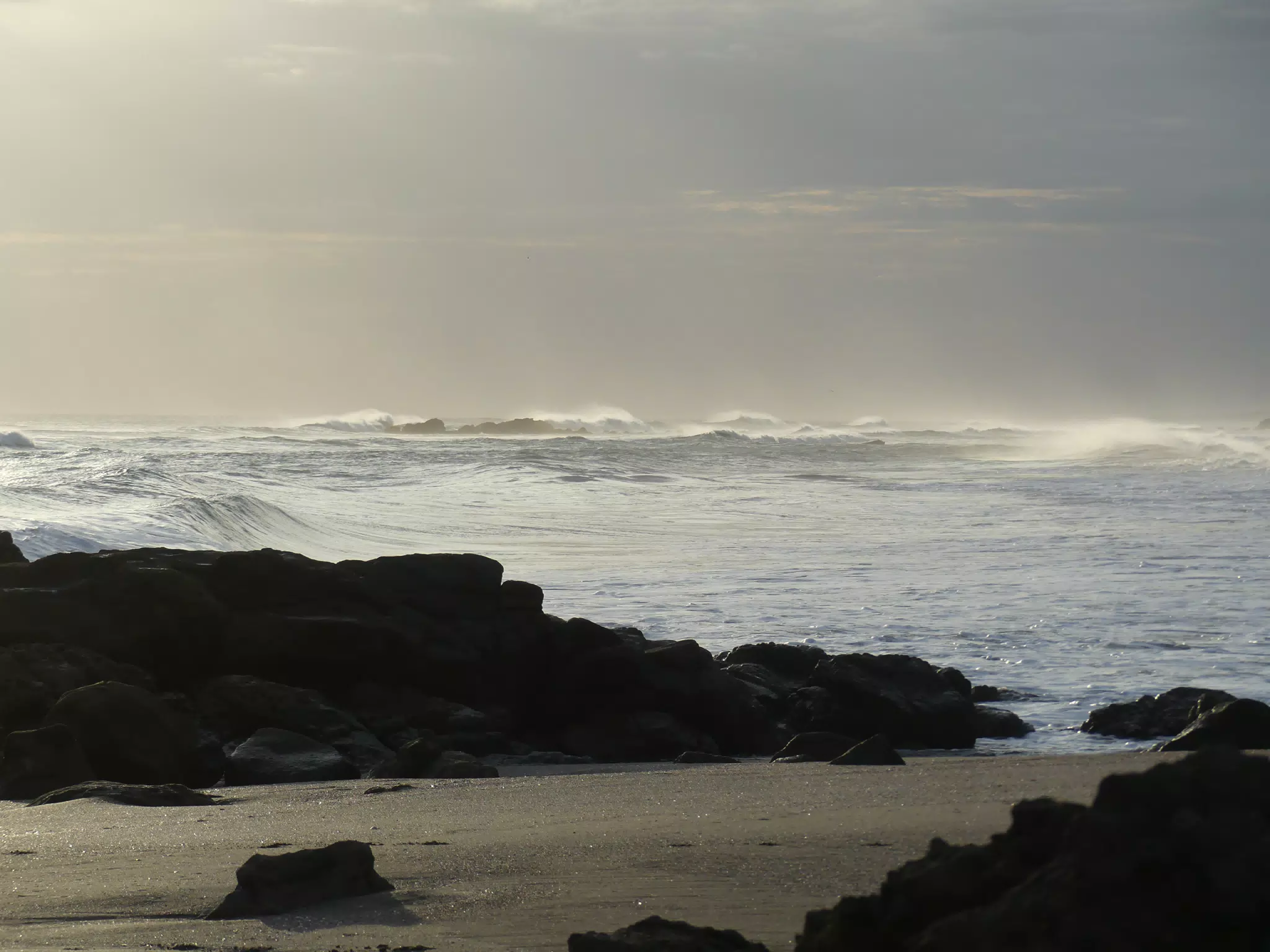 Life Near the Rocks Around Sunset, Las Penitas Beach