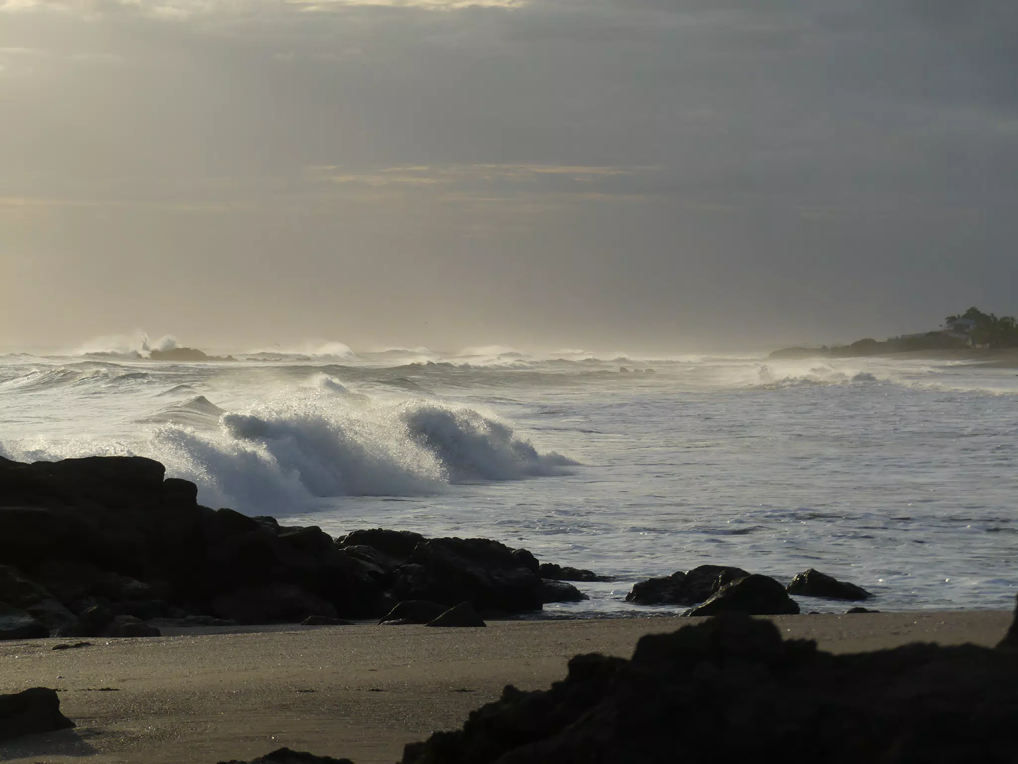 Life Near the Rocks Around Sunset, Las Penitas Beach