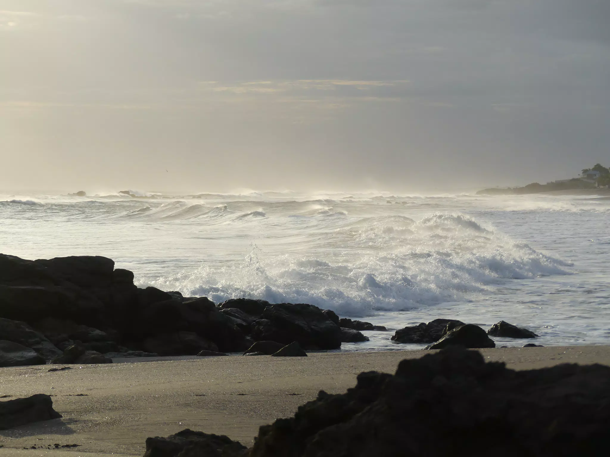 Life Near the Rocks Around Sunset, Las Penitas Beach