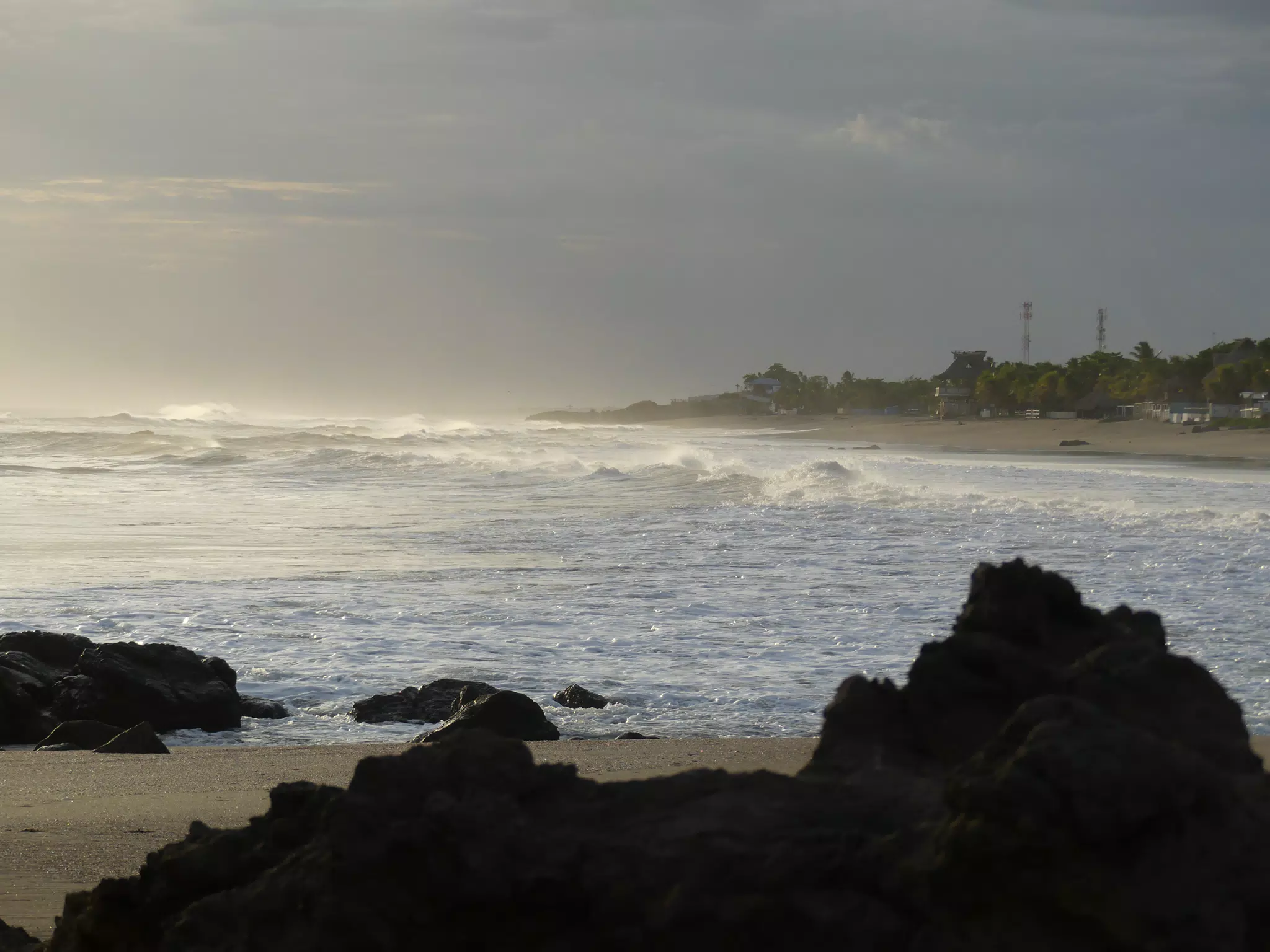 Life Near the Rocks Around Sunset, Las Penitas Beach