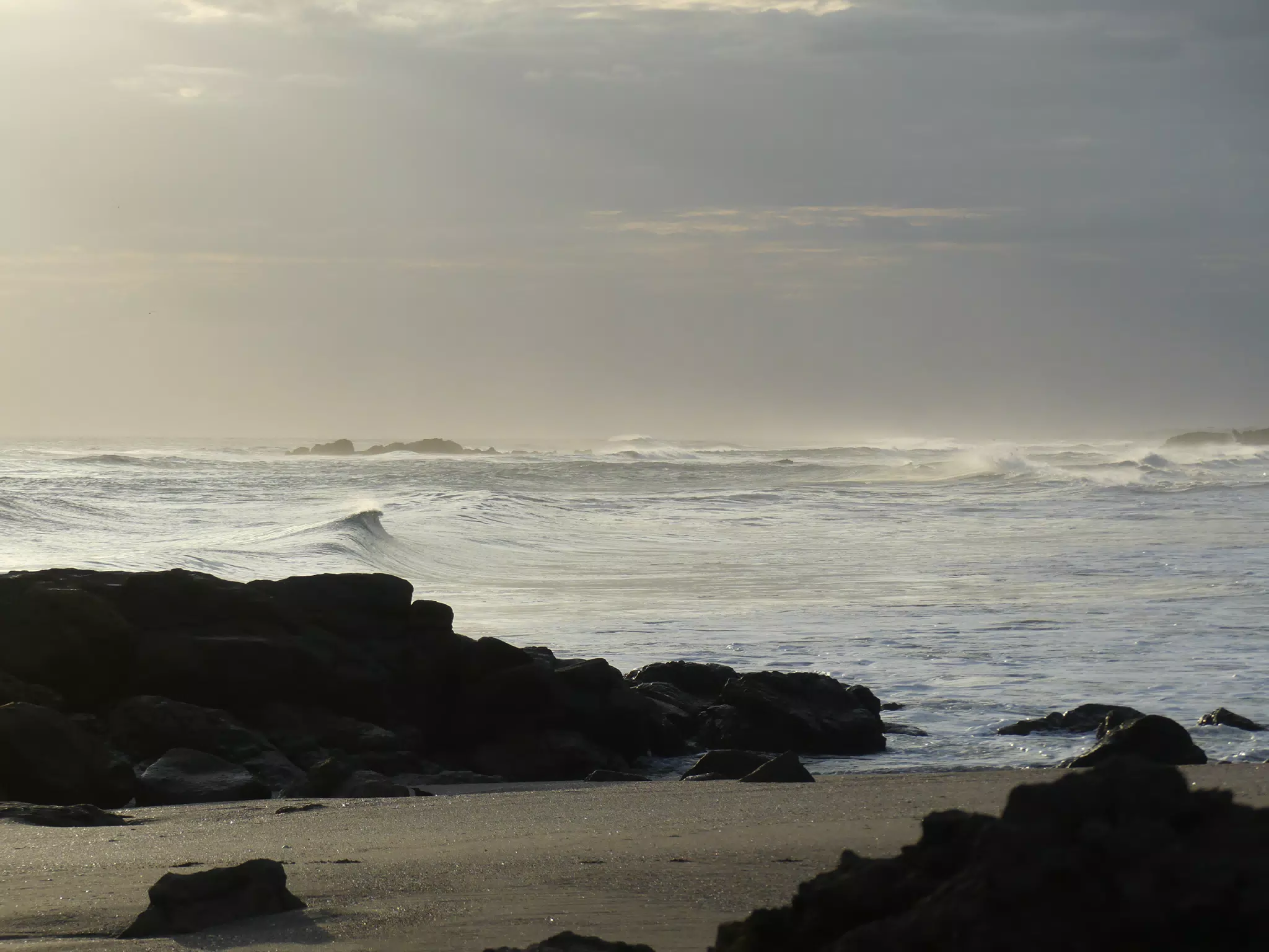 Life Near the Rocks Around Sunset, Las Penitas Beach