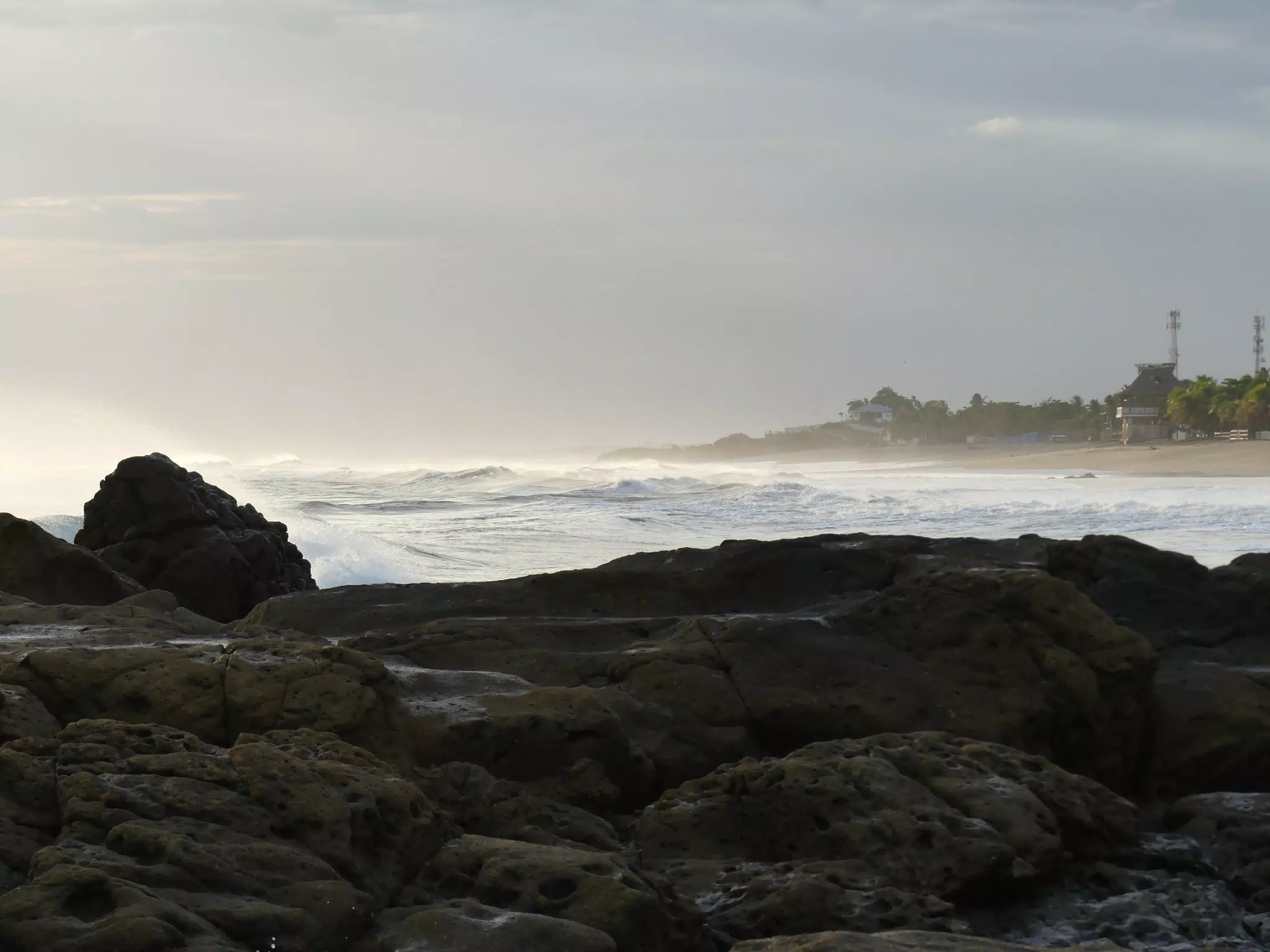 Life Near the Rocks Around Sunset, Las Penitas Beach