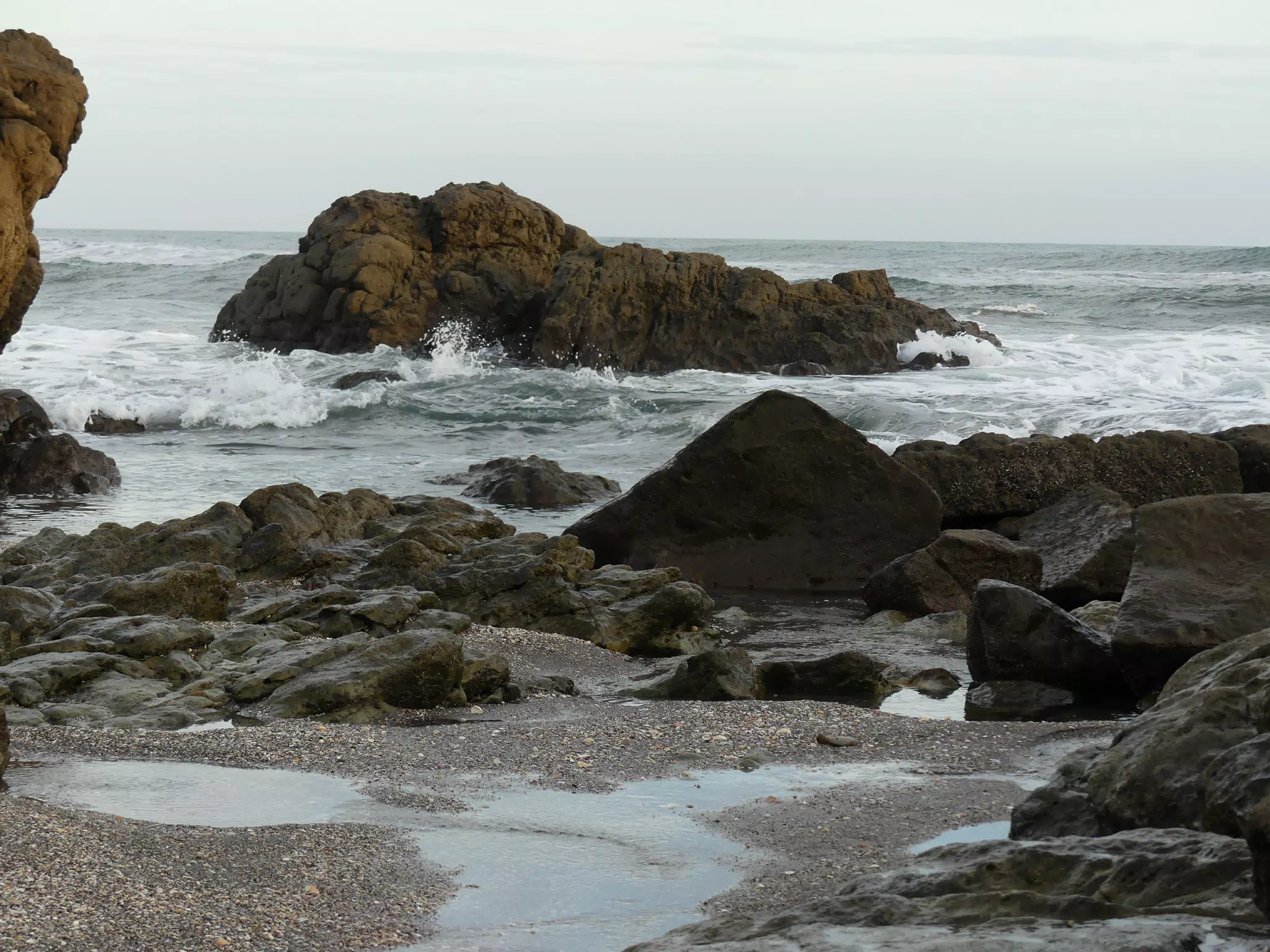 Life Near the Rocks Around Sunset, Las Penitas Beach