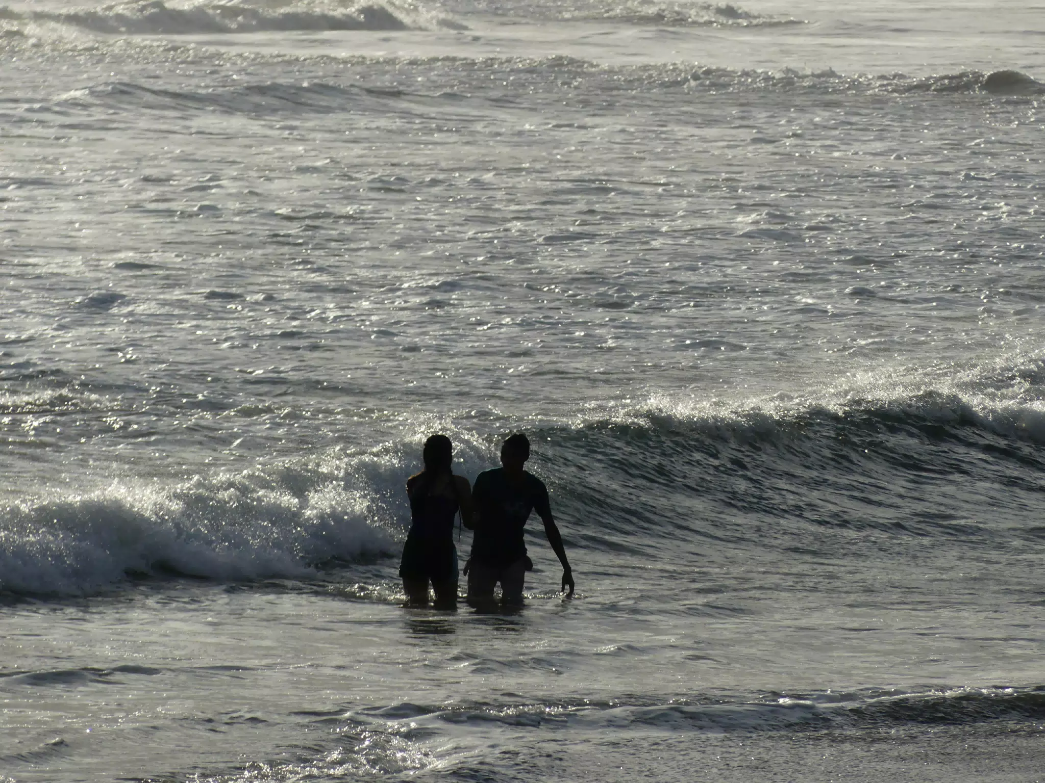 Life Near the Rocks Around Sunset, Las Penitas Beach