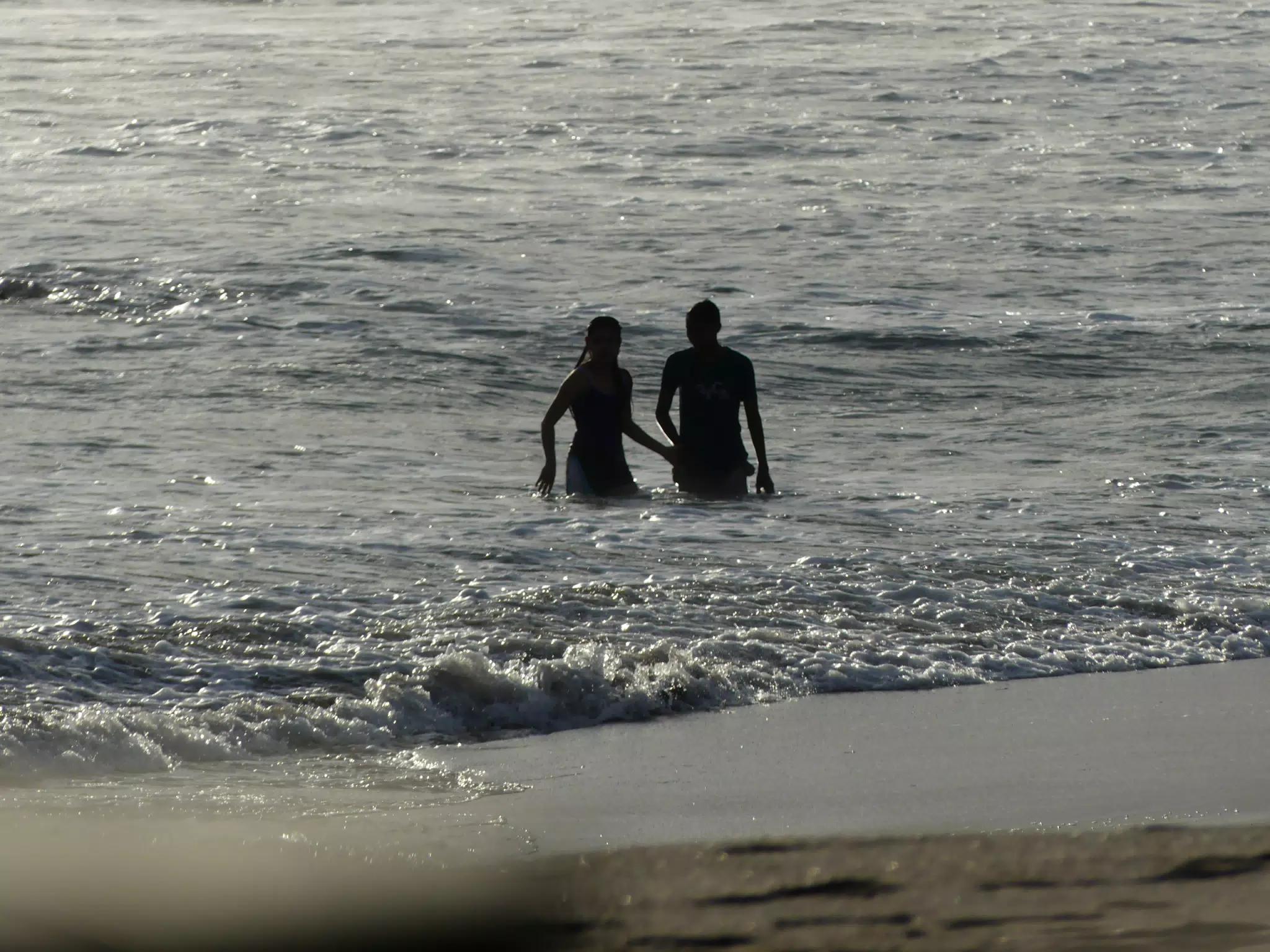 Life Near the Rocks Around Sunset, Las Penitas Beach