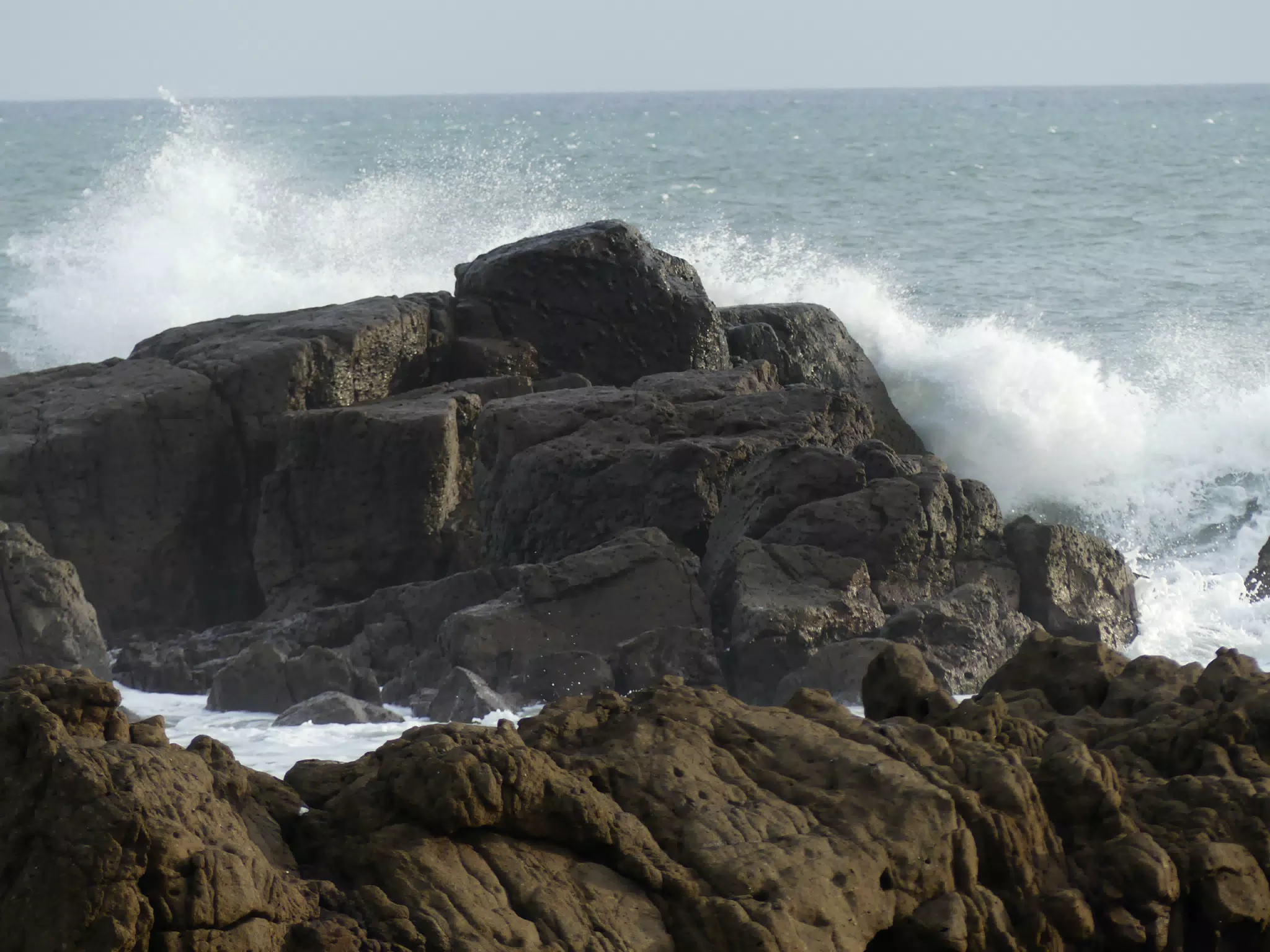 Life Near the Rocks Around Sunset, Las Penitas Beach