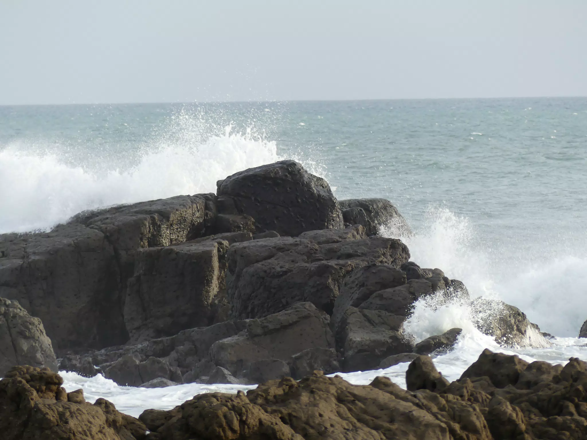 Life Near the Rocks Around Sunset, Las Penitas Beach