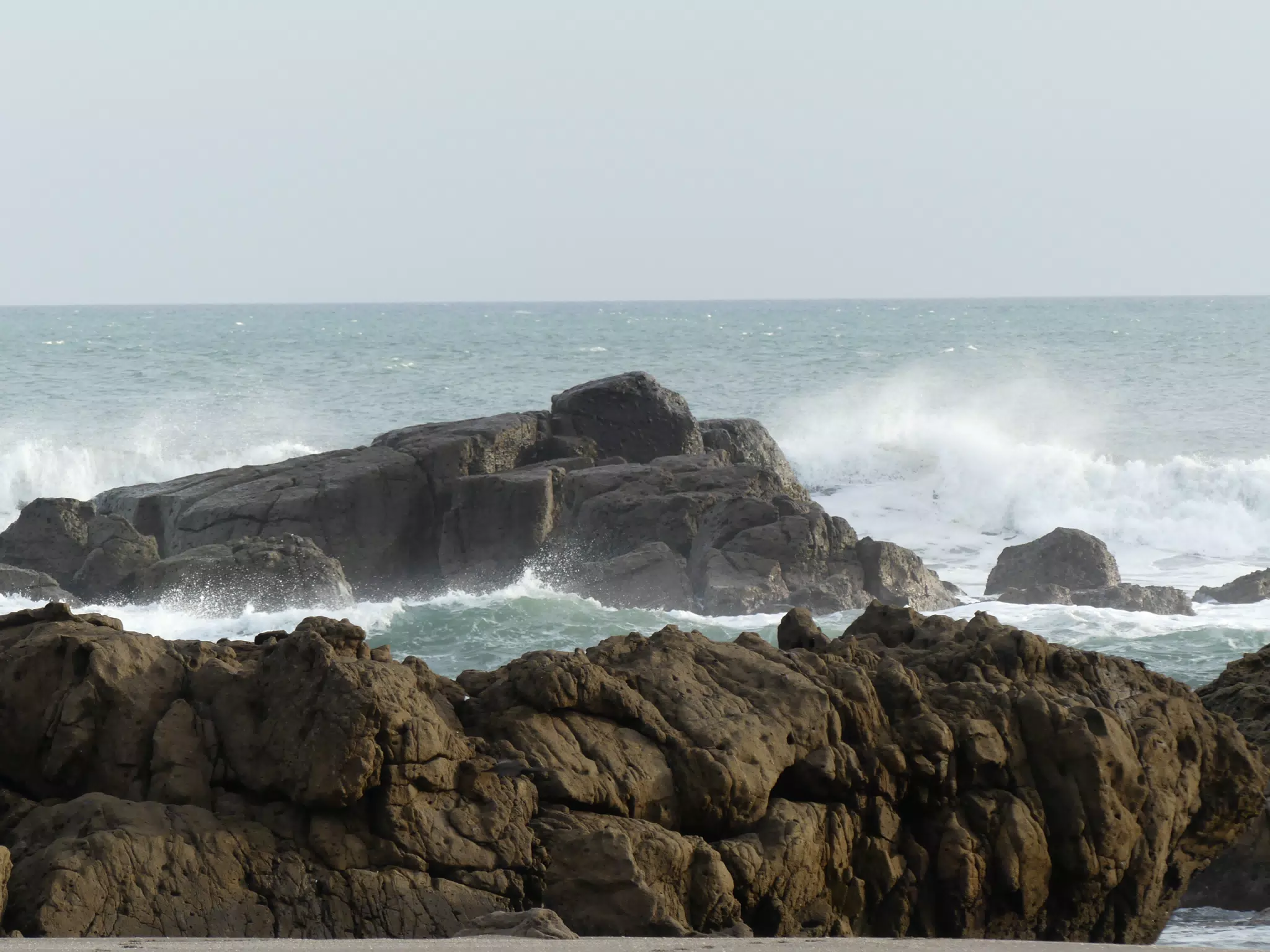 Life Near the Rocks Around Sunset, Las Penitas Beach