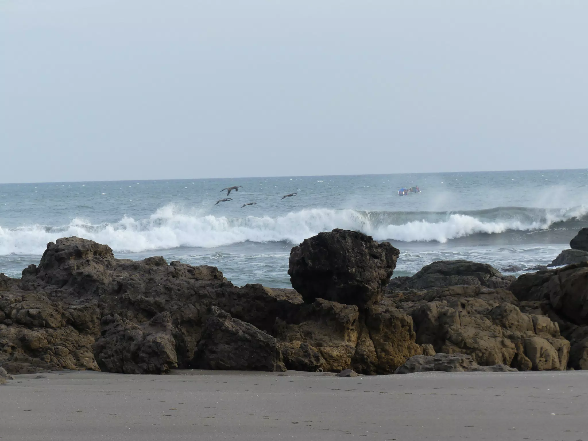 Life Near the Rocks Around Sunset, Las Penitas Beach