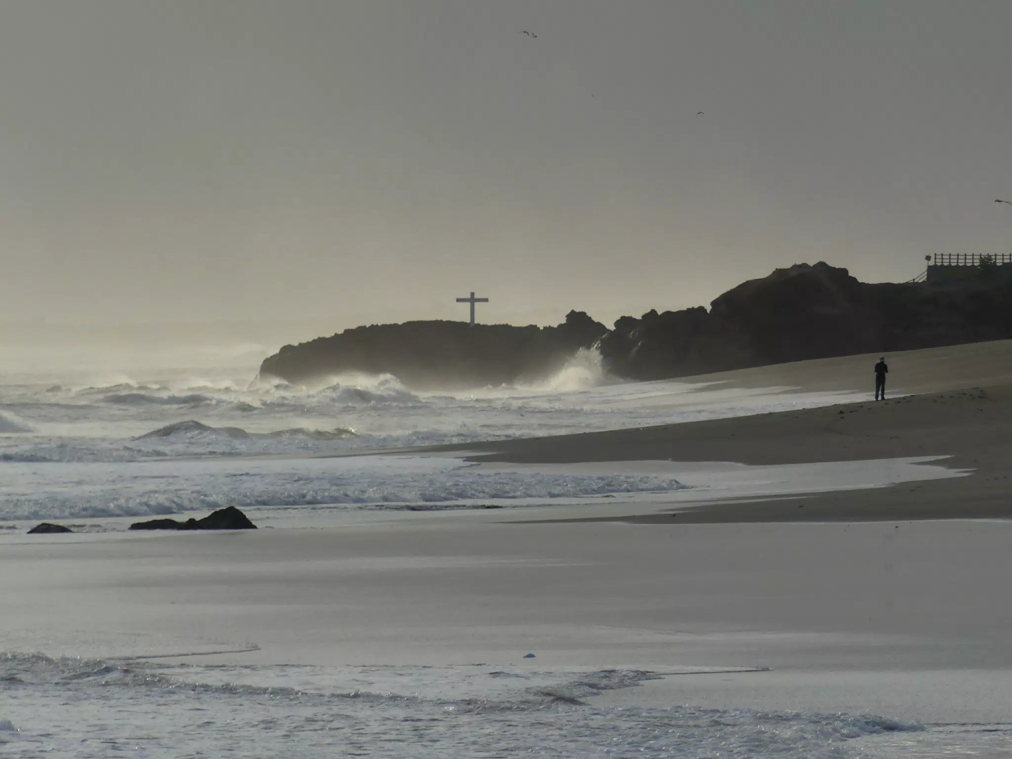 Life Near the Rocks Around Sunset, Las Penitas Beach