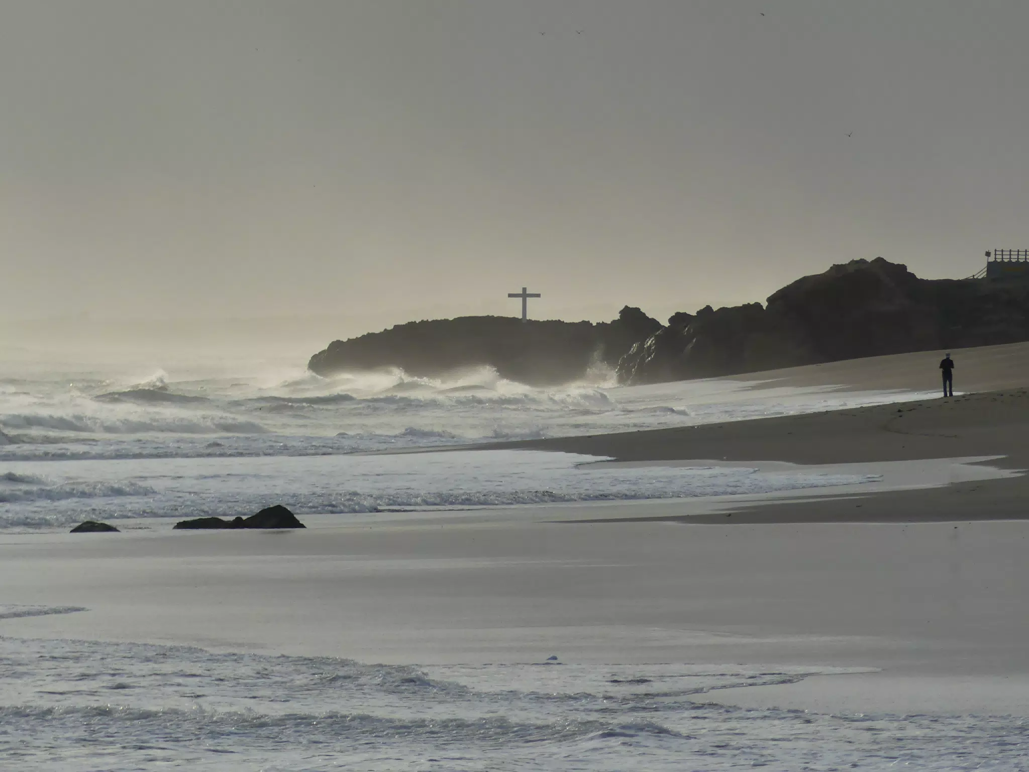 Life Near the Rocks Around Sunset, Las Penitas Beach