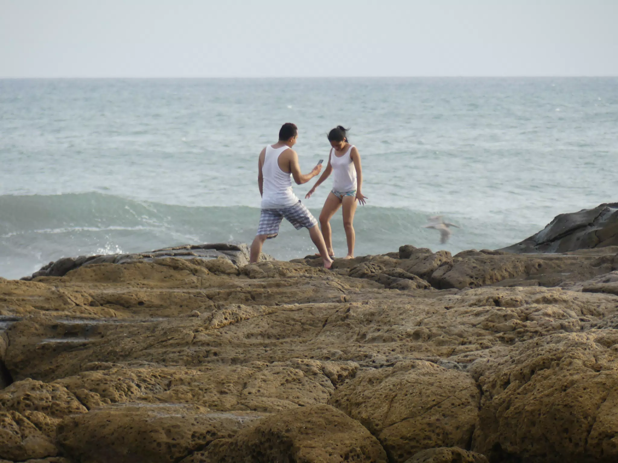 Life Near the Rocks Around Sunset, Las Penitas Beach