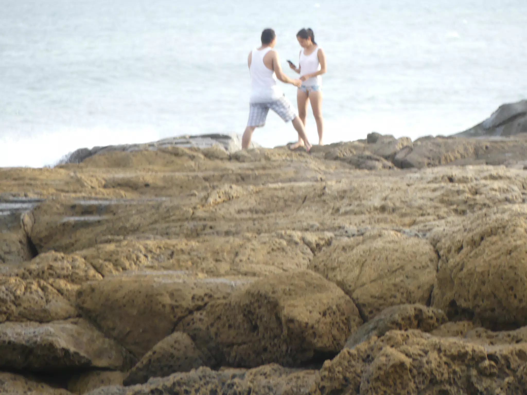 Life Near the Rocks Around Sunset, Las Penitas Beach