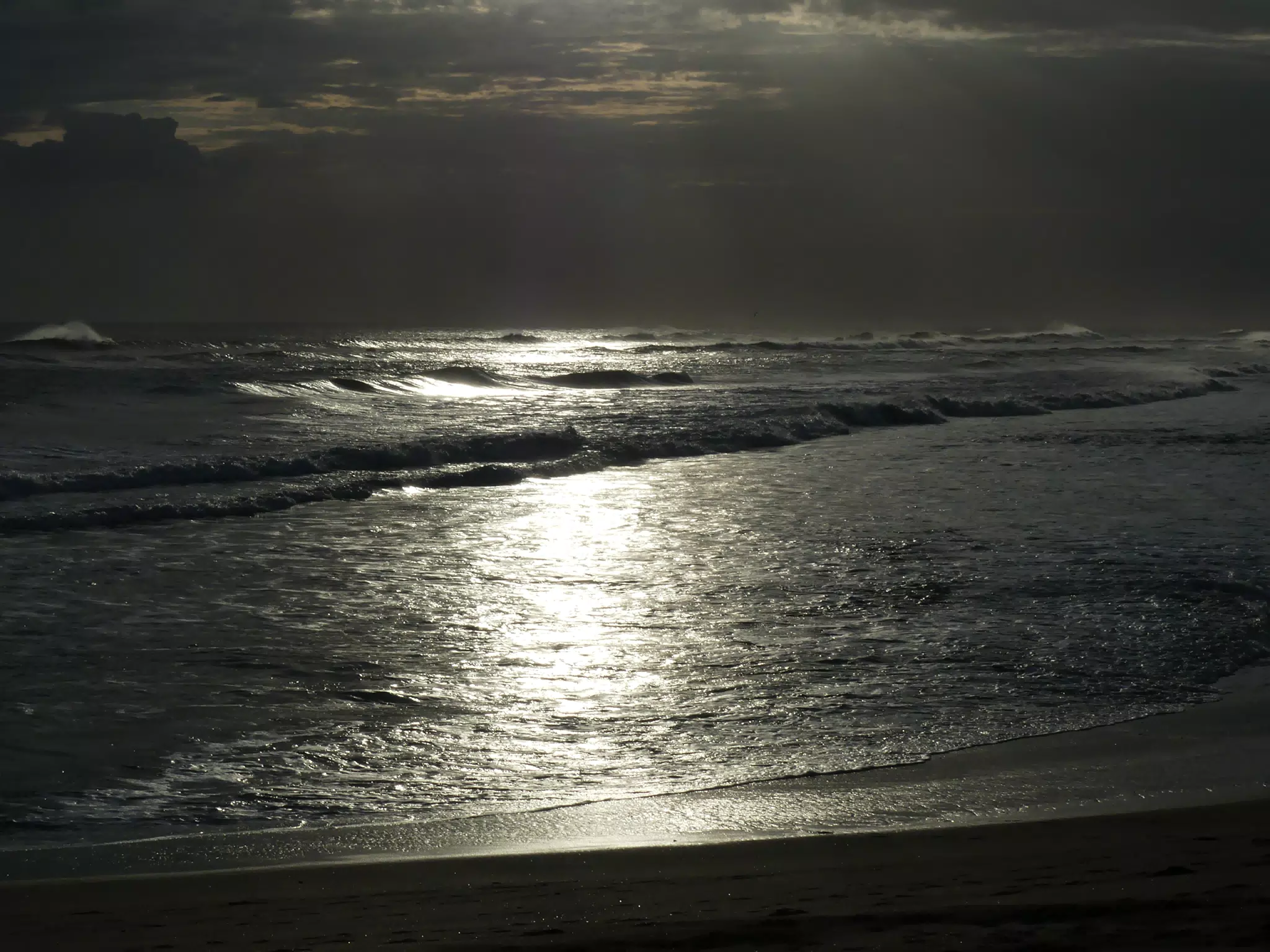 Life Near the Rocks Around Sunset, Las Penitas Beach