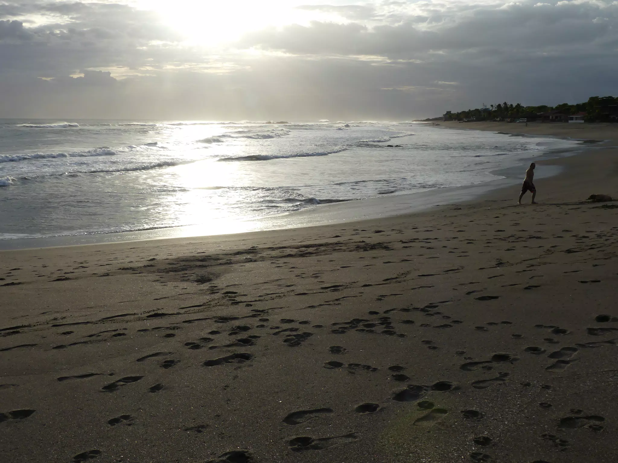 Life Near the Rocks Around Sunset, Las Penitas Beach