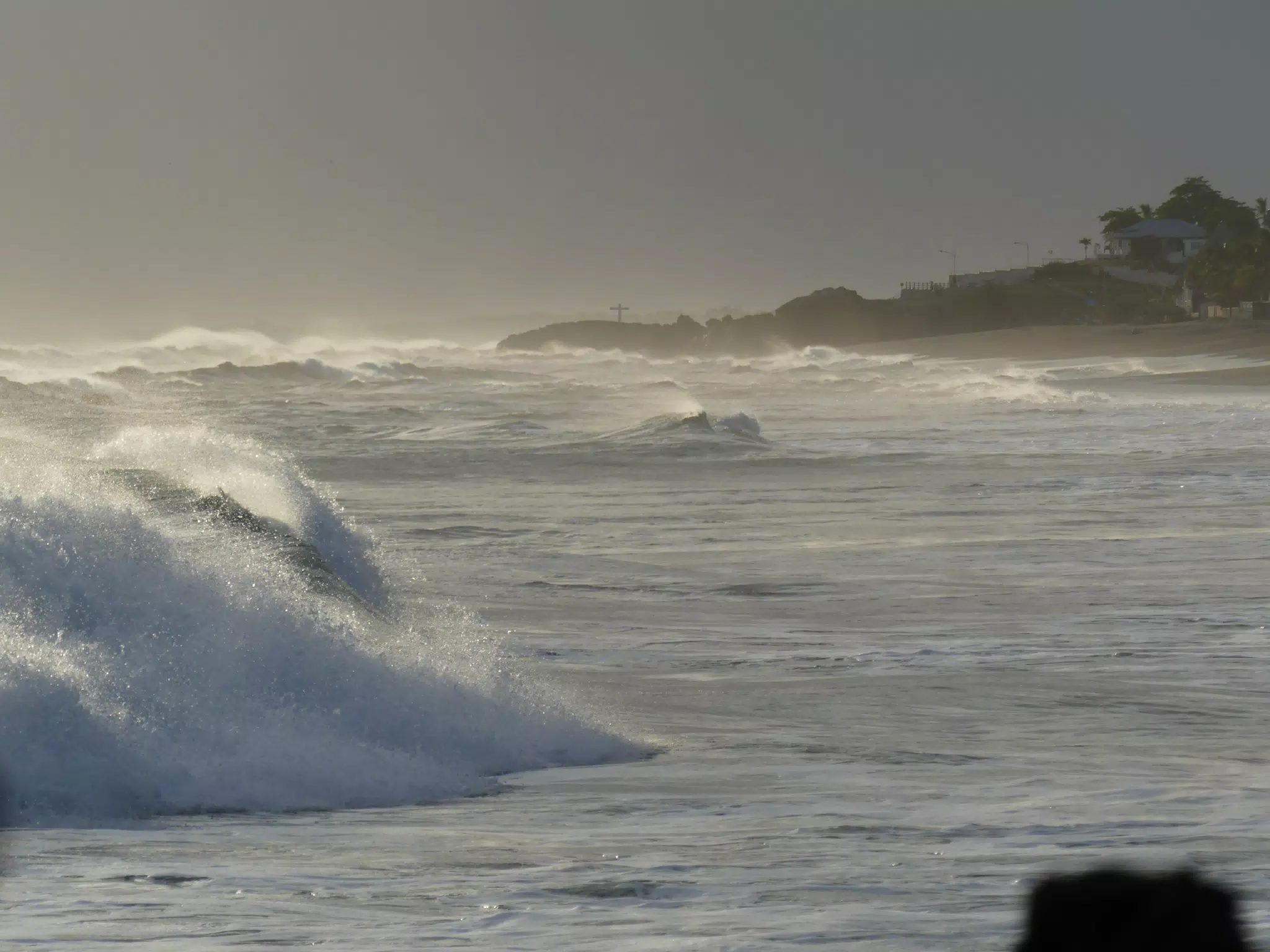 Life Near the Rocks Around Sunset, Las Penitas Beach