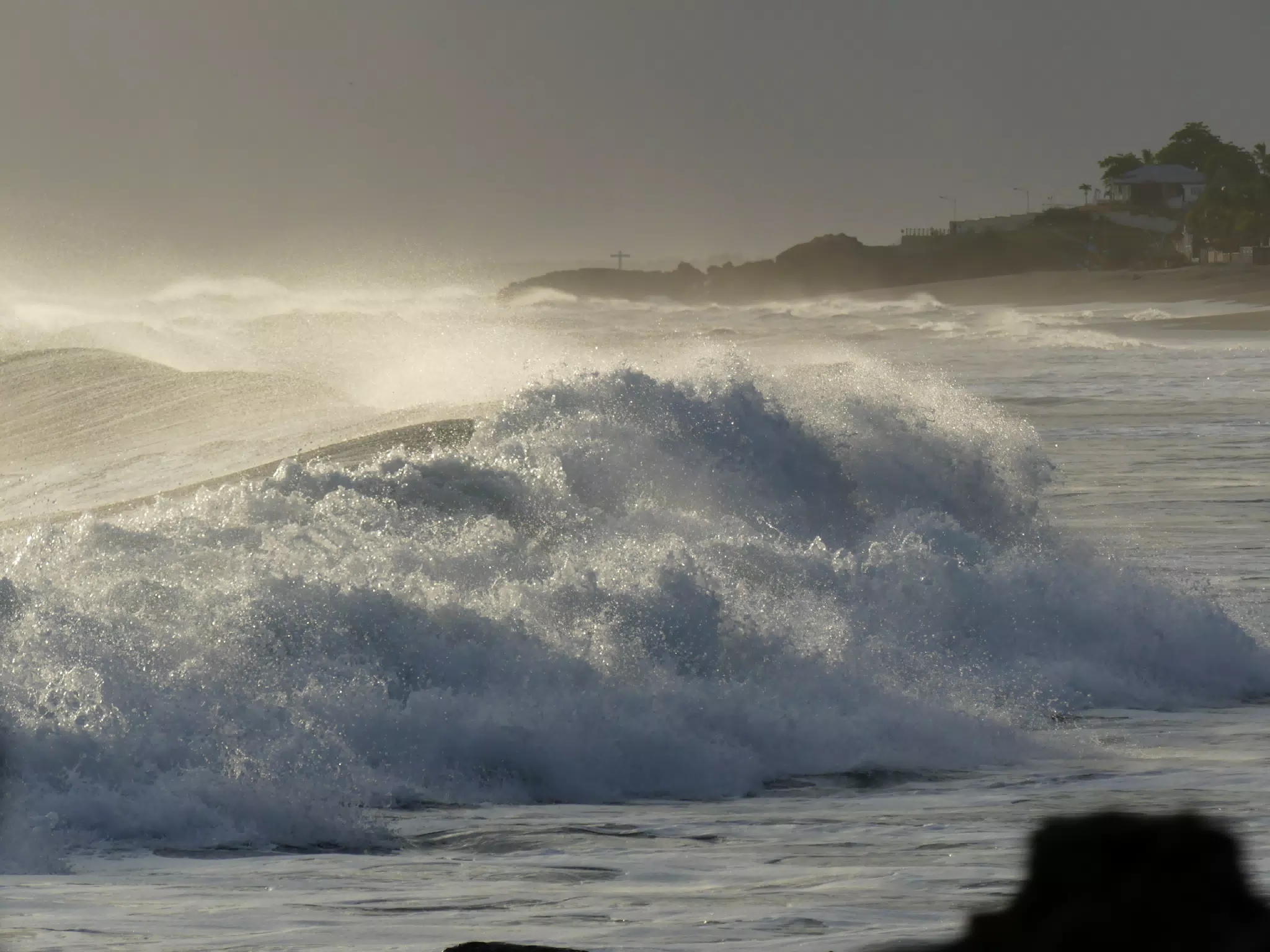 Life Near the Rocks Around Sunset, Las Penitas Beach